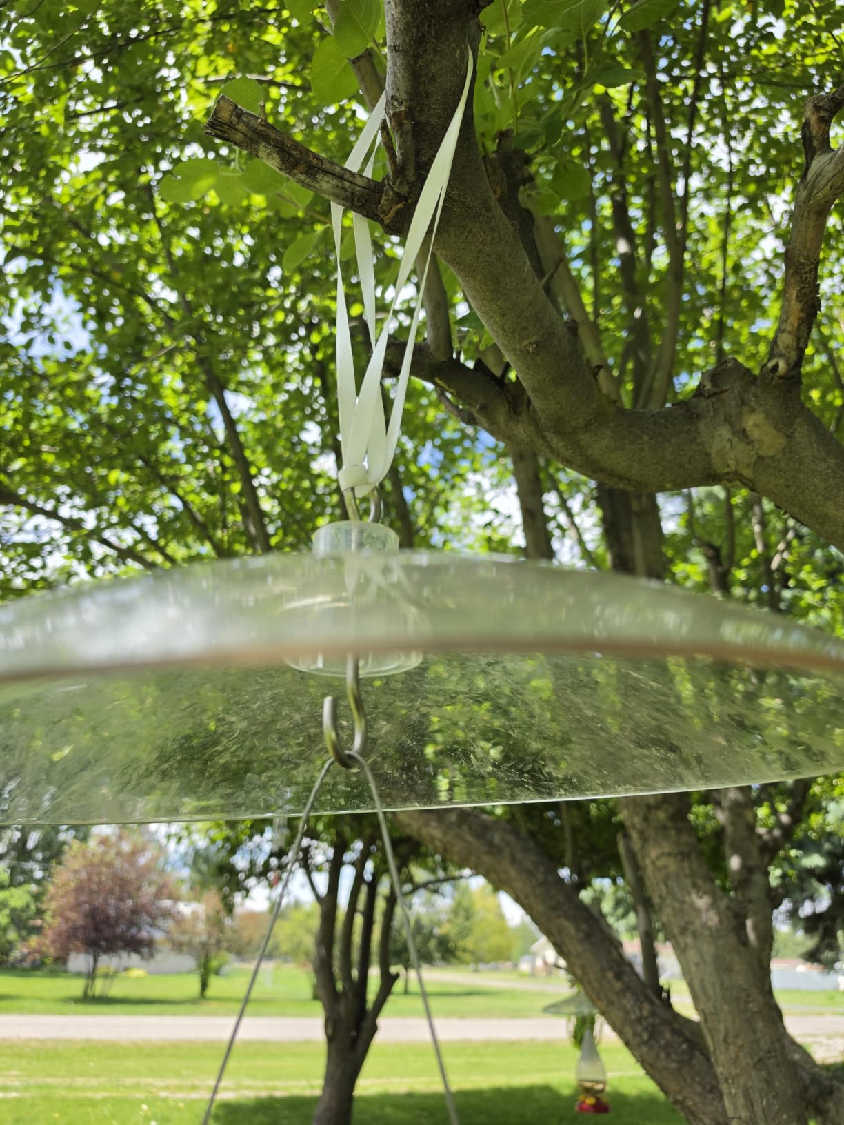 Perky-Pet 16 Inch Transparent Squirrel Baffler for Bird Feeders - Keep Squirrels Away from Seed - Hang or Pole Mount - Perky Pet 340 - See Through Baffler customer photo 2