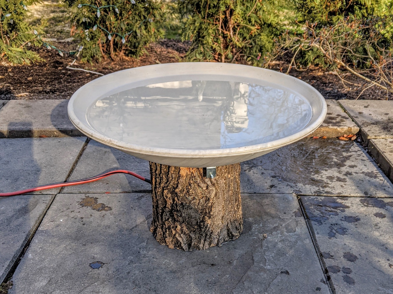 Allied Precision Industries API 600 20-Inch Diameter Heated Bird Bath Bowl (no stand), Light stone color customer photo 1