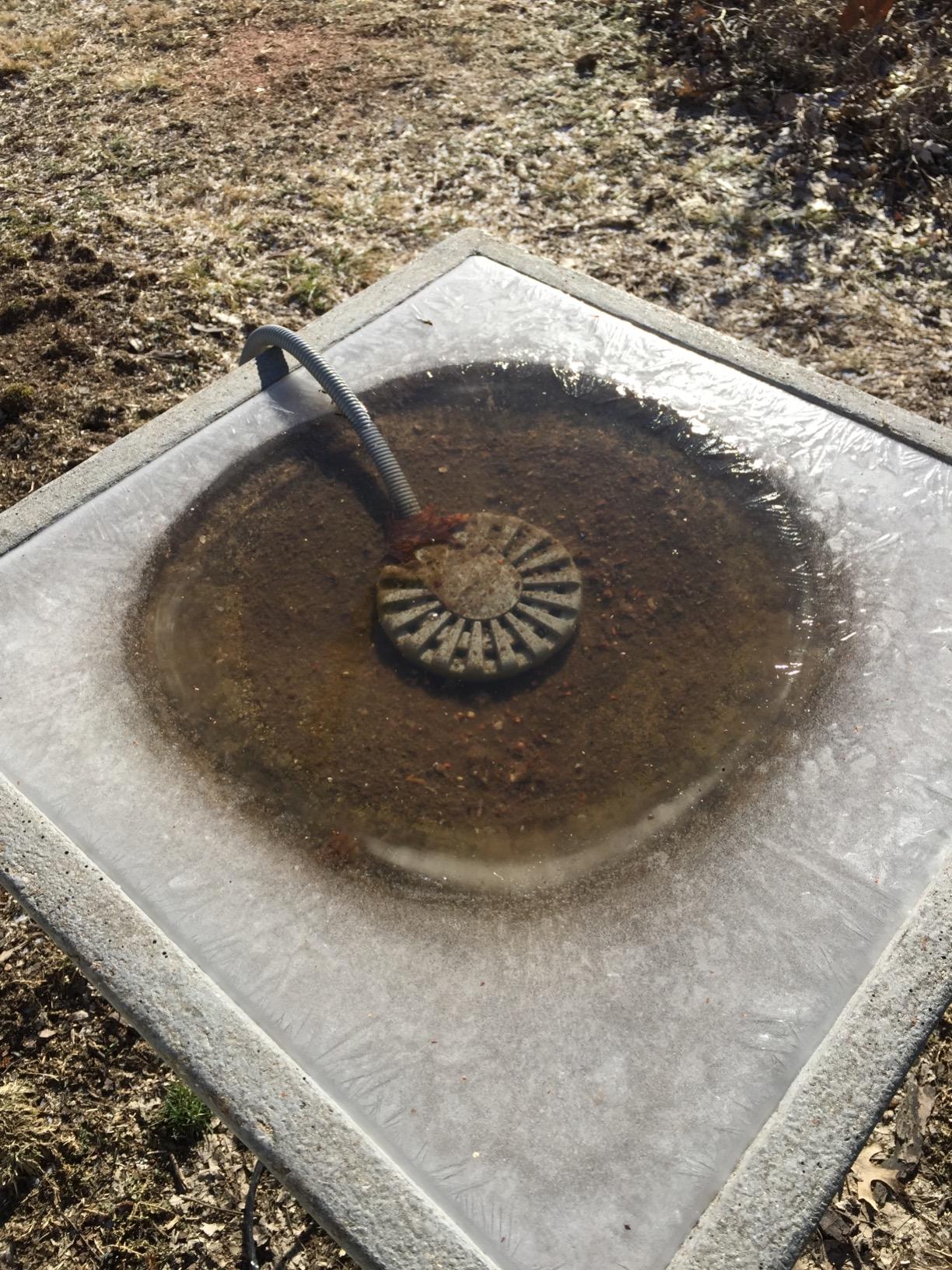 Allied Precision BDT250 Bird Bath De Icer Multiple Thermostat, 250-Watt, Metallic, 4.75-inch diameter customer photo 1