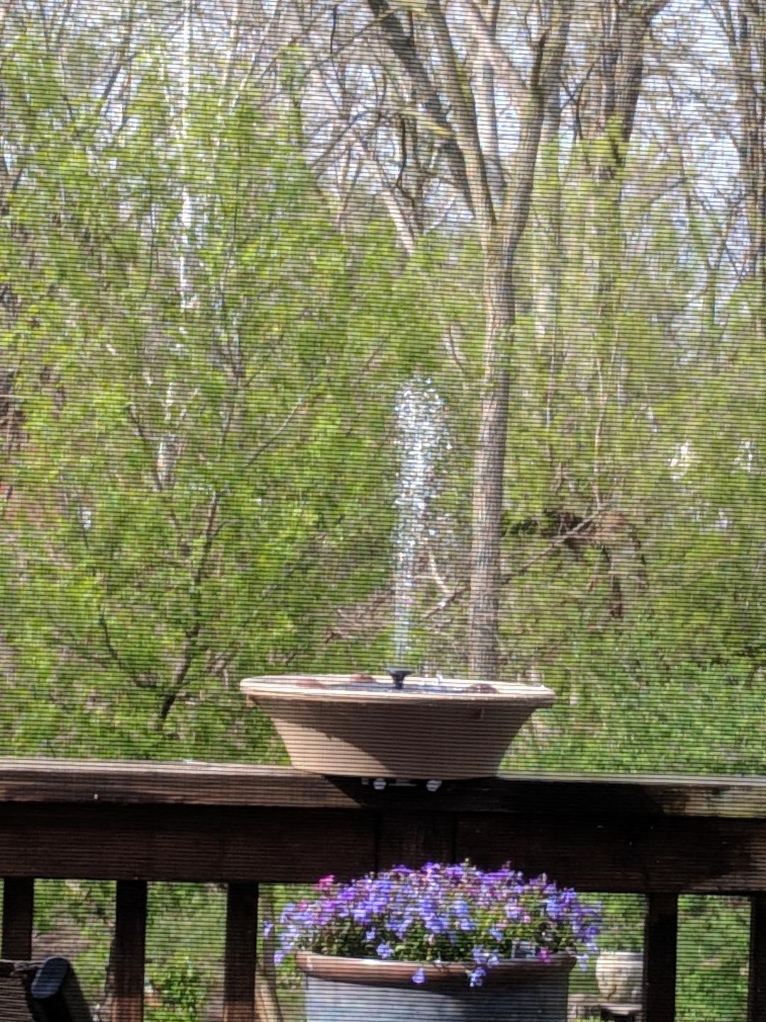 Allied Precision Industries 14B Four Seasons Heated Bird Bath with EZ Tilt Deck Mount and Pole Mount, 14-Inch customer photo 1
