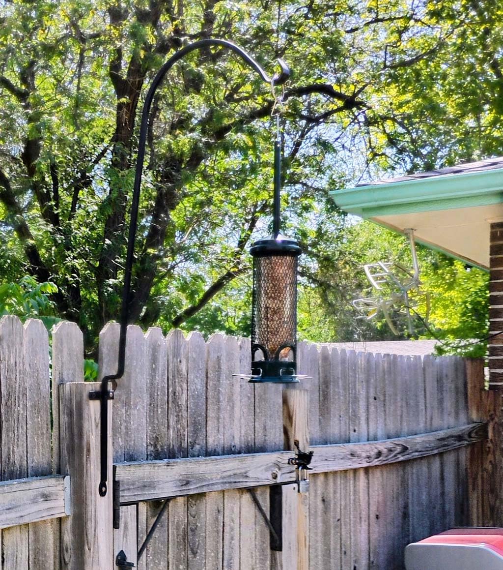 Squirrel Buster Mini Squirrel-Proof Bird Feeder for Wild Birds - 4 Metal Perches, 1 lb Seed Capacity, Chew-Proof Design, Lifetime Care, Garden Green | Squirrel-Proof 1 Lb Tube Feeder, 4 Metal Perches, Chew-Proof Parts, Ventilated Seed Tube, Lifetime Care customer photo 1