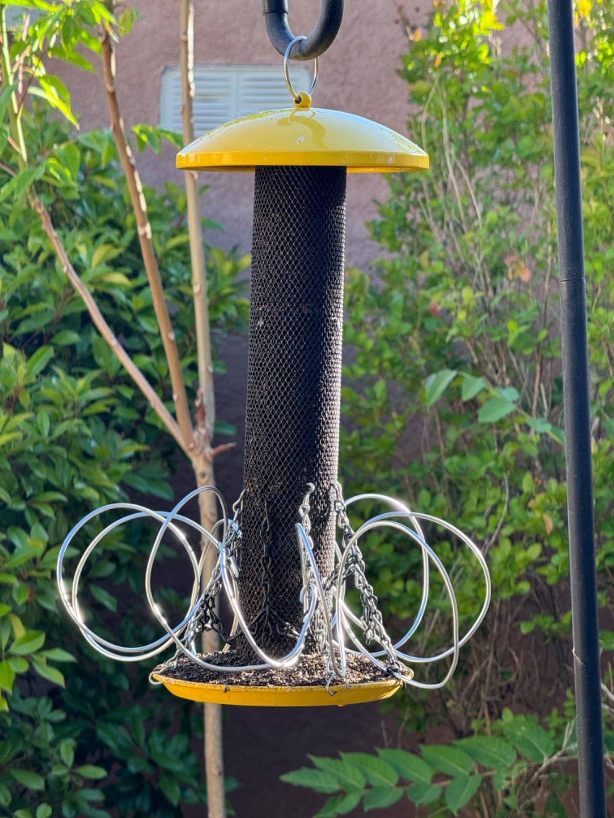 Perky-Pet YSSF00346-2 Straight-Sided Thistle Seed Wire Mesh Tube Finch Bird Feeder | Wire Mesh, Metal Construction, Evenseed Technology, Circular Seed Tray customer photo 1