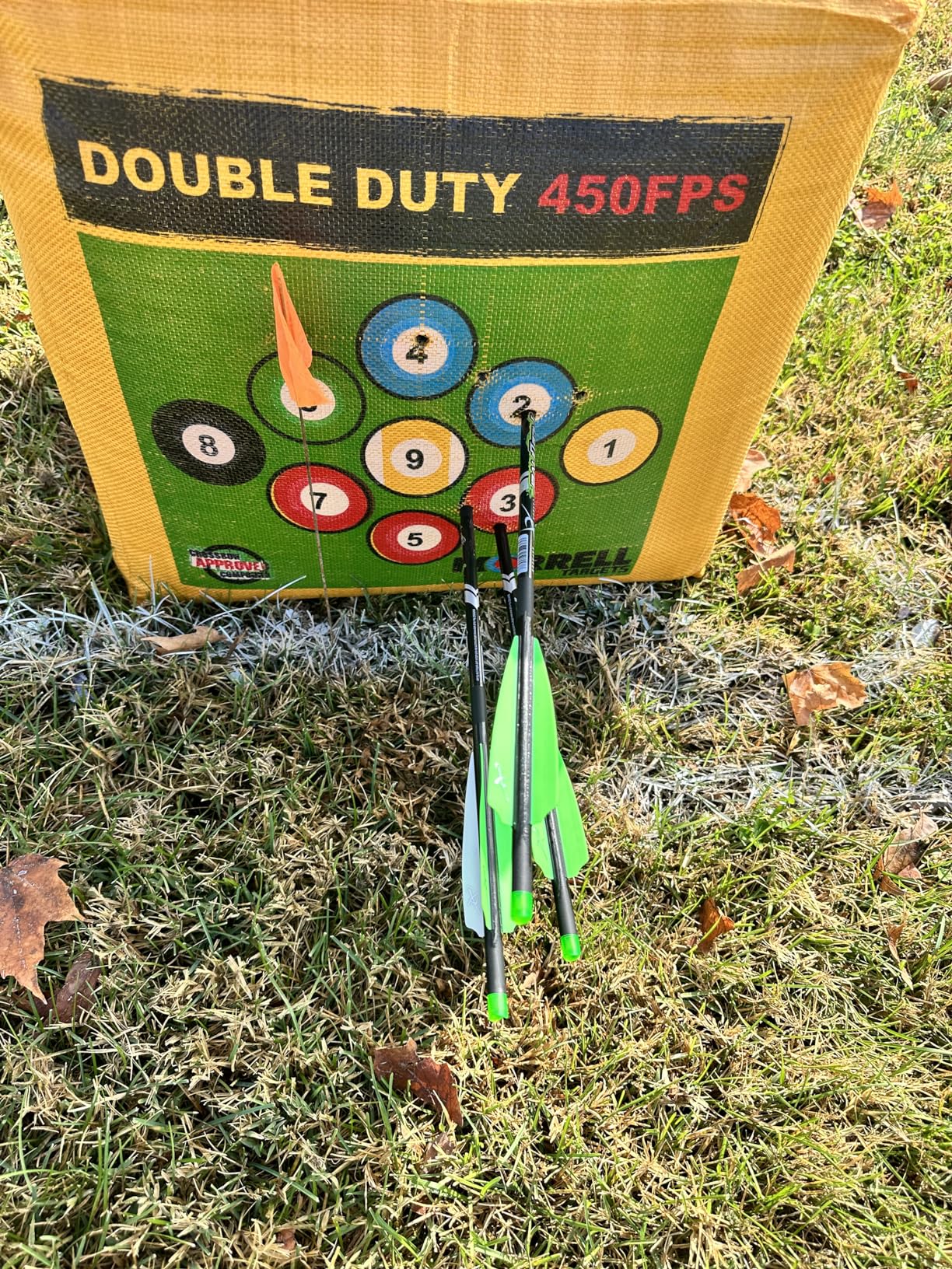 Morrell Double Duty 450 FPS Cube Field Point Archery Bag Target, Yellow | Portable Backyard Hunting Practice with Traditional Bullseyes, Nine-ball, Dartboard Game, and Deer Vitals customer photo 2
