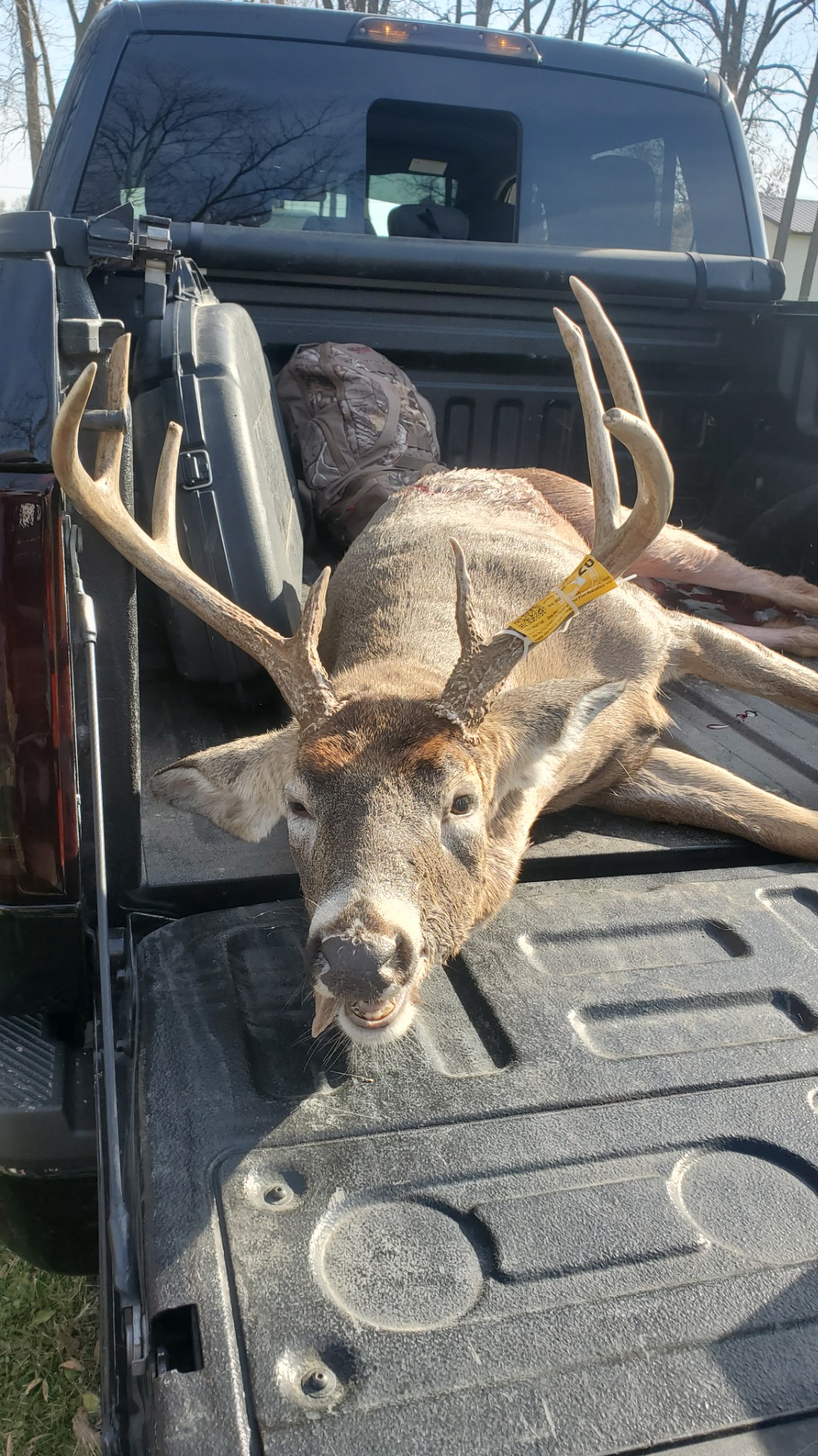 Montana Decoy Dream Team Buck and Doe customer photo 2