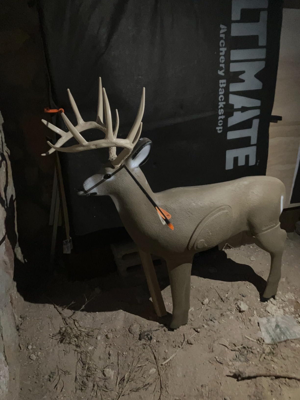 SHOOTER Buck 3D Archery Target, Replaceable Insert for Long Life, Weather-Resistant Construction, High-Density Impact-Response Foam Withstands Field Points, Broadheads, and Expandables customer photo 1