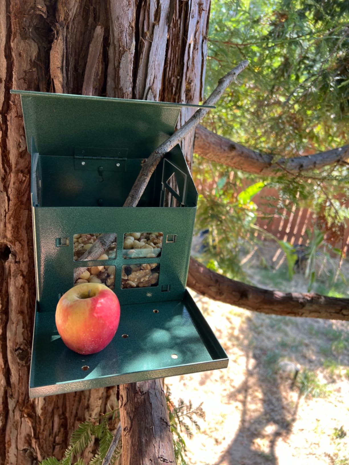 Erva Peanut Pantry Squirrel Feeder - Heavy Duty Steel - Premium Verdigris Finish - Made in USA (SQF1) customer photo 1
