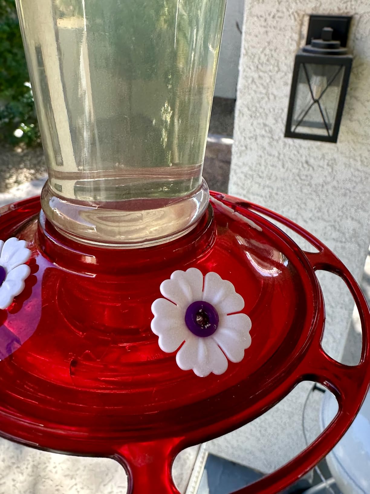 More Birds Bird Health+ Ruby Hummingbird Feeder, Glass Hummingbird Feeders for Outdoors, 4 Feeding Stations, 10 Ounces, Ruby Red customer photo 2