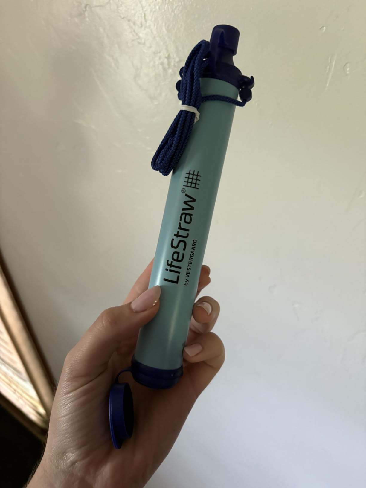 LifeStraw Personal Water Filter for Hiking, Camping, Travel, and Emergency Preparedness customer photo 1