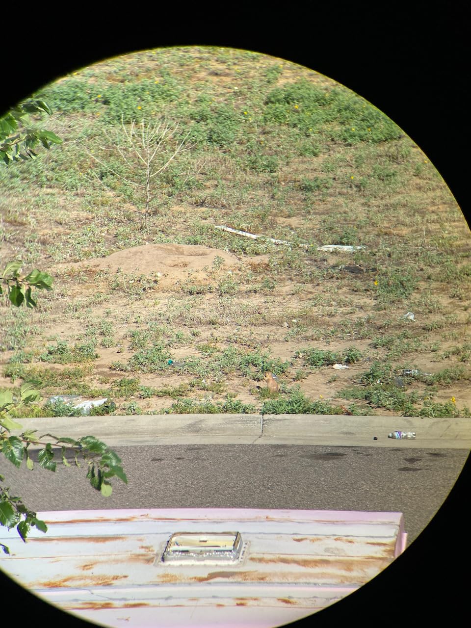 Vortex Razor HD Roof Prism 10x42 Binoculars customer photo 1