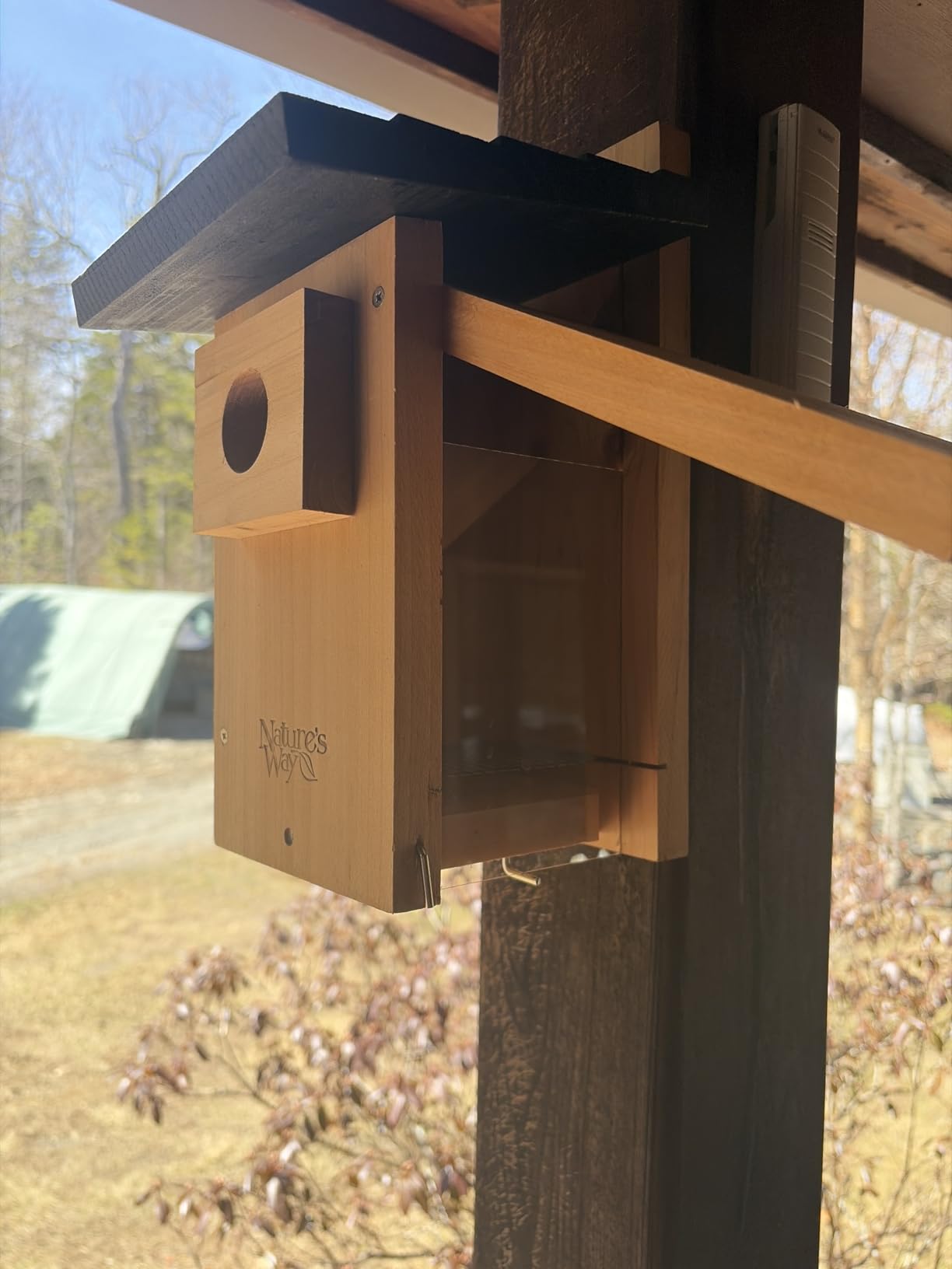 Nature's Way Bird Products CWH4 Cedar Bluebird Viewing House customer photo 2