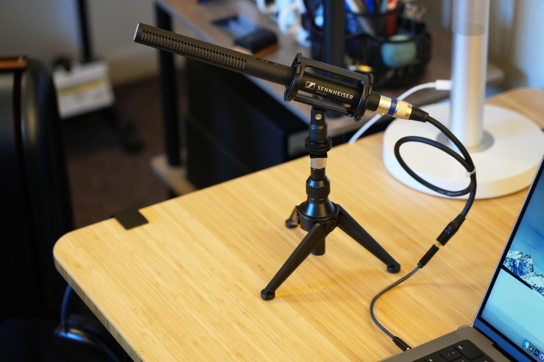 Sennheiser Pro Audio MKE 600 Supercardioid Shotgun Microphone with XLR-3M and Low-Cut Filter for Camcorders, Video DSLRs and Outdoor Recording customer photo 2