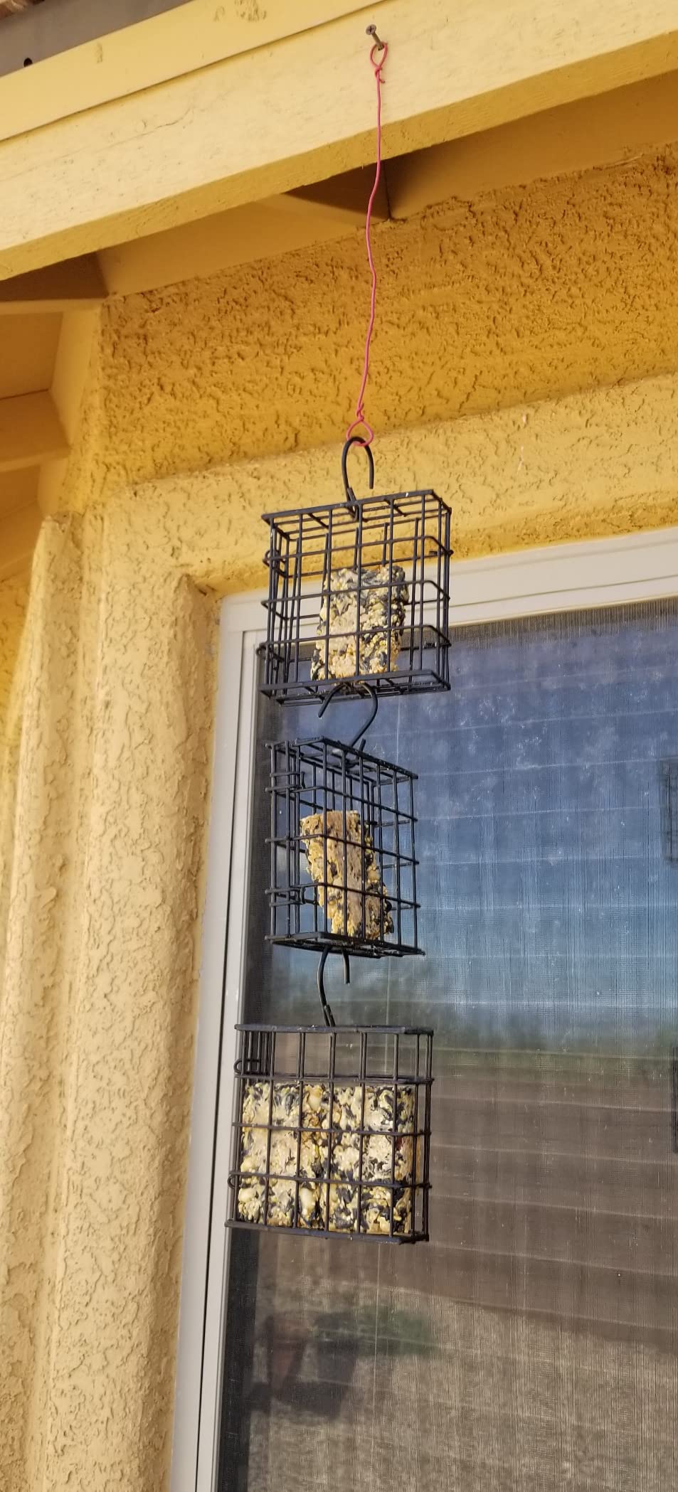 More Birds Suet Cage Bird Feeder, Fruit and Suet Feeder, Single Cake Capacity, Black customer photo 1