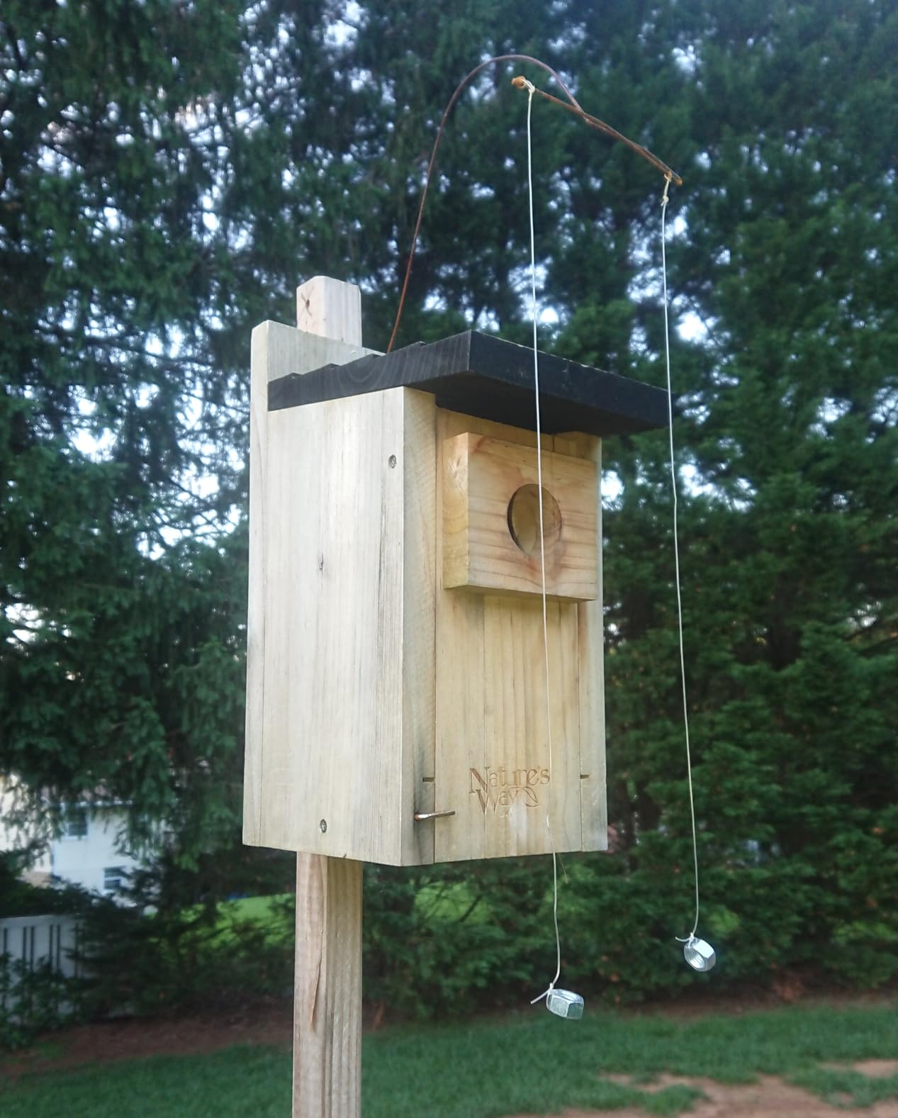 Nature's Way Bird Products CWH3 Cedar Bluebird Box House customer photo 1