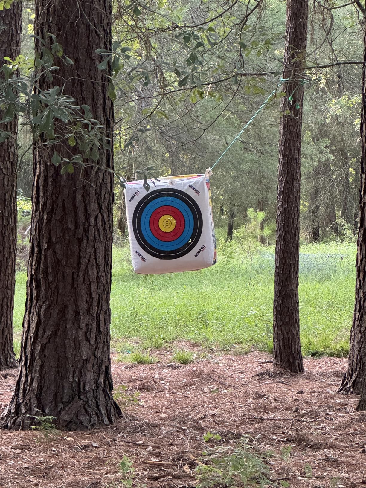 Morrell Weatherproof Supreme Range Adult Field Point Archery Bag Target with NASP Scoring Rings, Nucleus Center, and IFS Technology, White customer photo 2