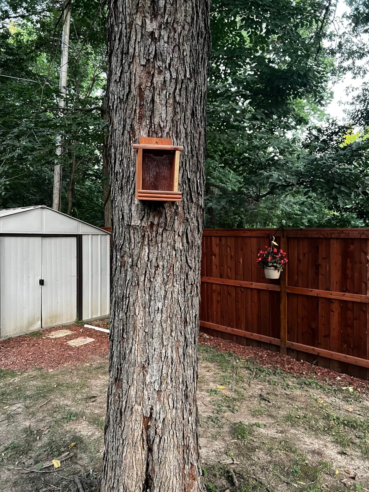 Pennington Cedar Squirrel Snacker Feeder, Squirrel Feeder, 2.75 LB | Hanging squirrel feeder, bird and squirrel feeder, eastern red cedar; mounts to tree, post or fence, keeps food dry customer photo 1