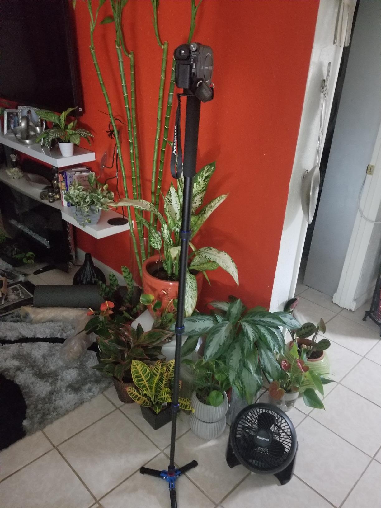 Koolehaoda Extendable Camera Monopod with Foldable Stand Base | 5-Section Height 66