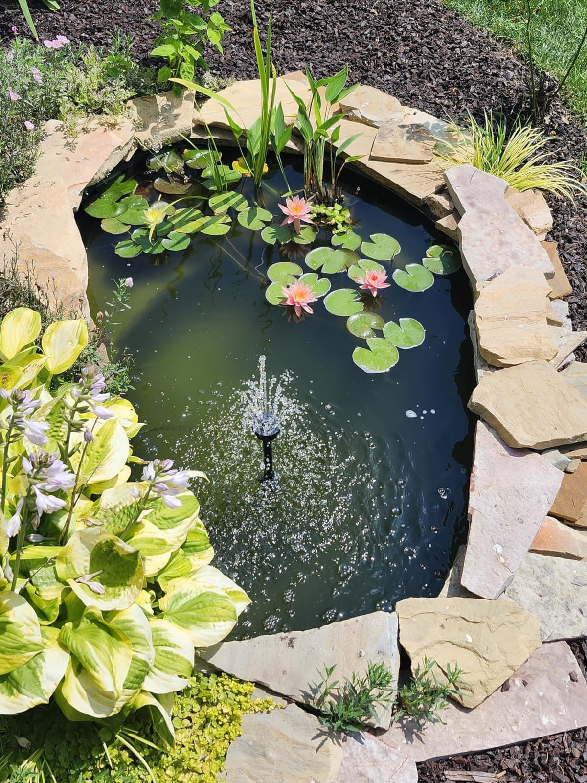 CrystalClear PondAir 2 Complete Aeration Kit, Koi & Fish Ponds Bubbler | Whisper Quiet oxygenation system adds oxygen using outdoor aerator compressor pump, tubing & 2 submersible air stones customer photo 1