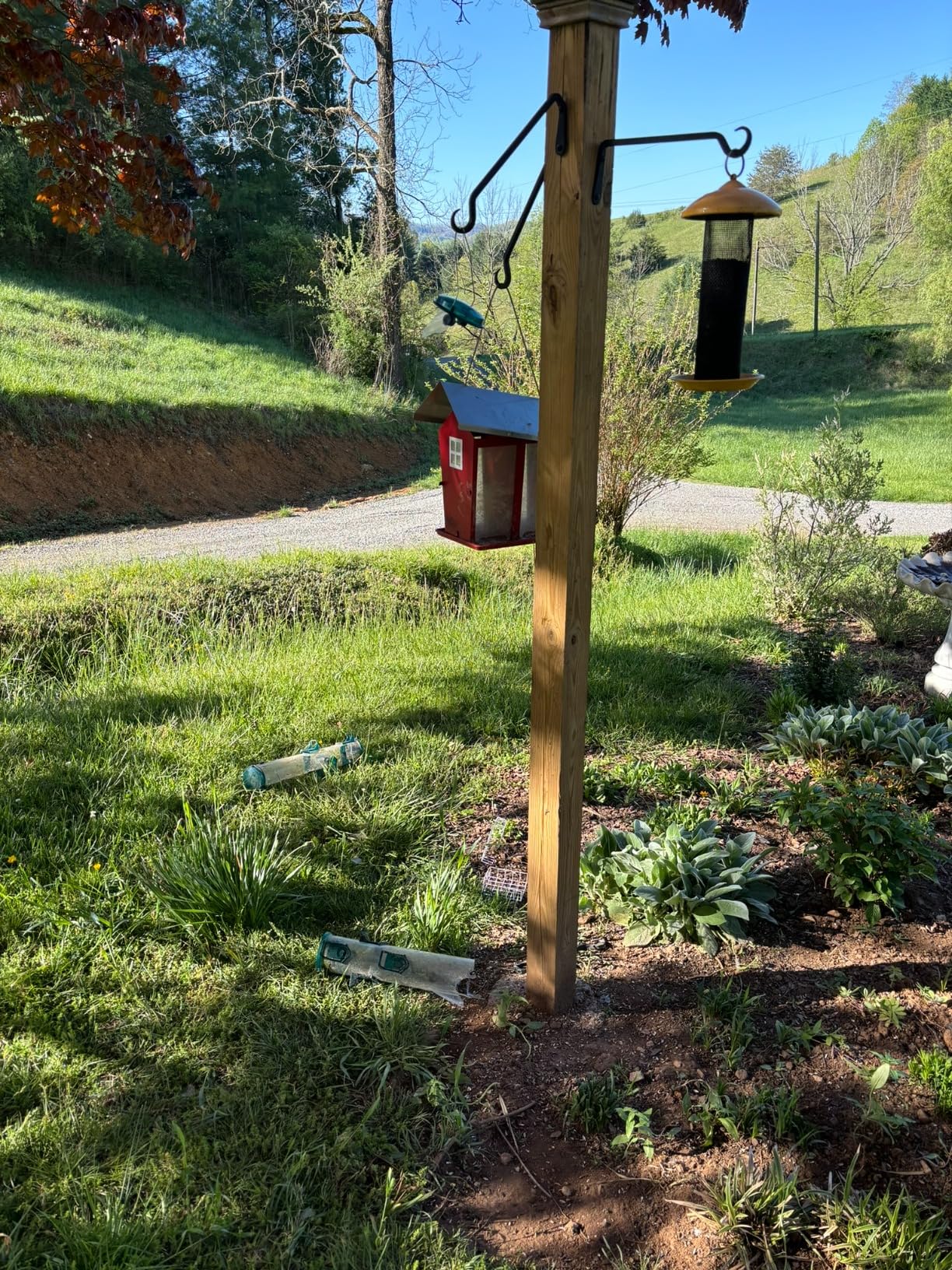 Wild Wings WWCF23 Rot Resistant Cedar Hanging Tray Bird Feeder with Fresh Seed Tray, Platform Feeder for Outdoor Wild Bird Seed Feeder and Décor, Wood customer photo 1