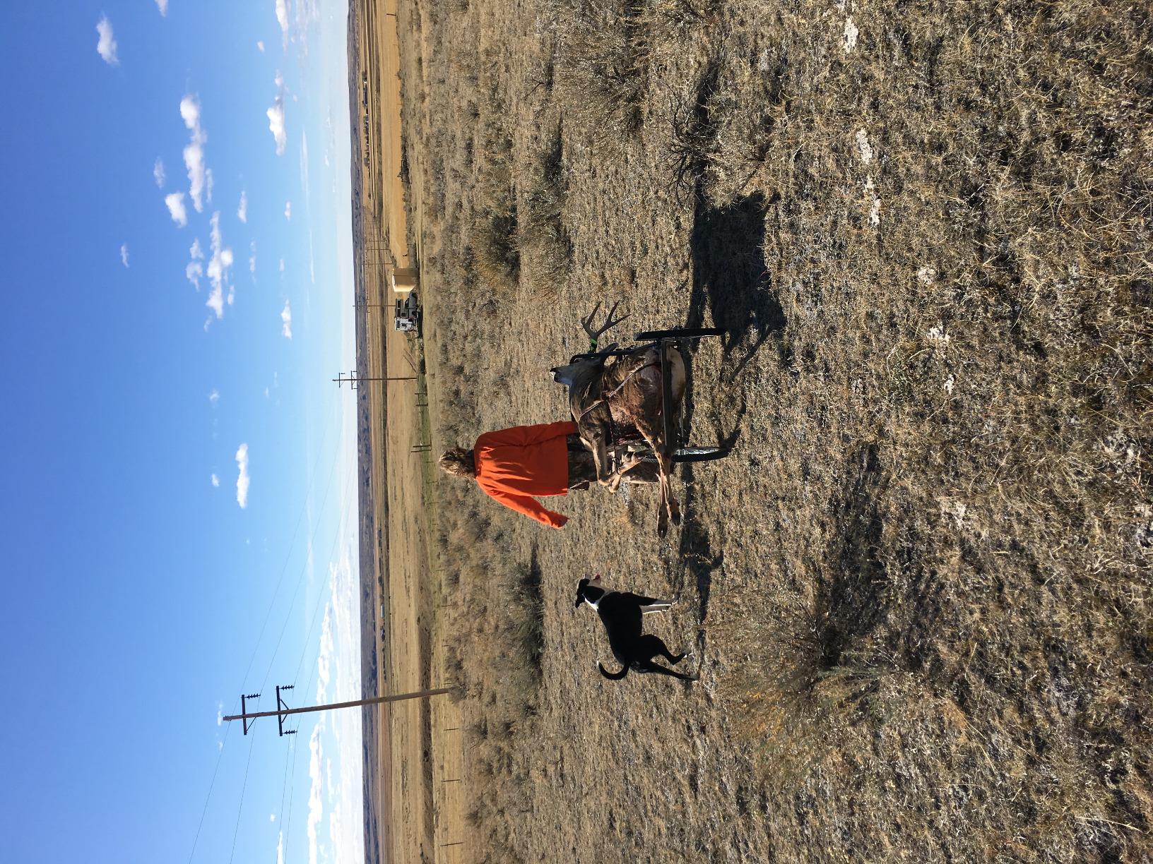 Deer Hunting Game Cart 750 lb Capacity, 20