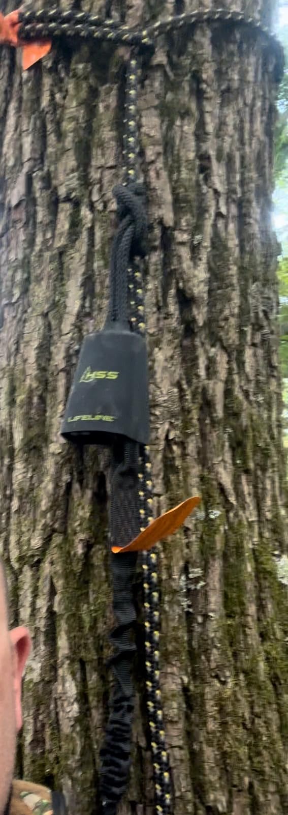 Hunter Safety System Lifeline - Treestand Safety Rope System with Ground-to-Stand Fall Protection & Silent Climbing customer photo 1