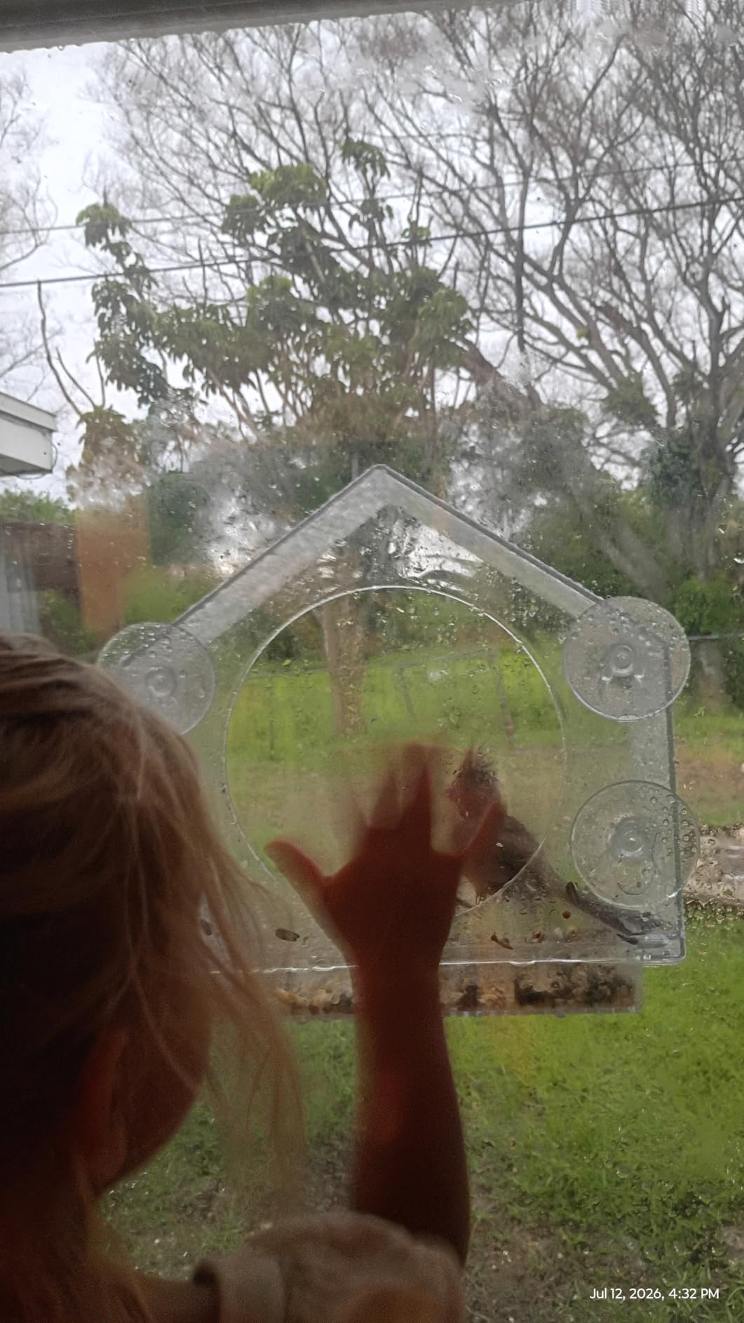 Window Hummingbird Feeder, Suction Cup, Hummingbird Feeders for Outdoors | leak proof with sealing gasket included, bee and wasp proof flowers, large nectar capacity customer photo 2