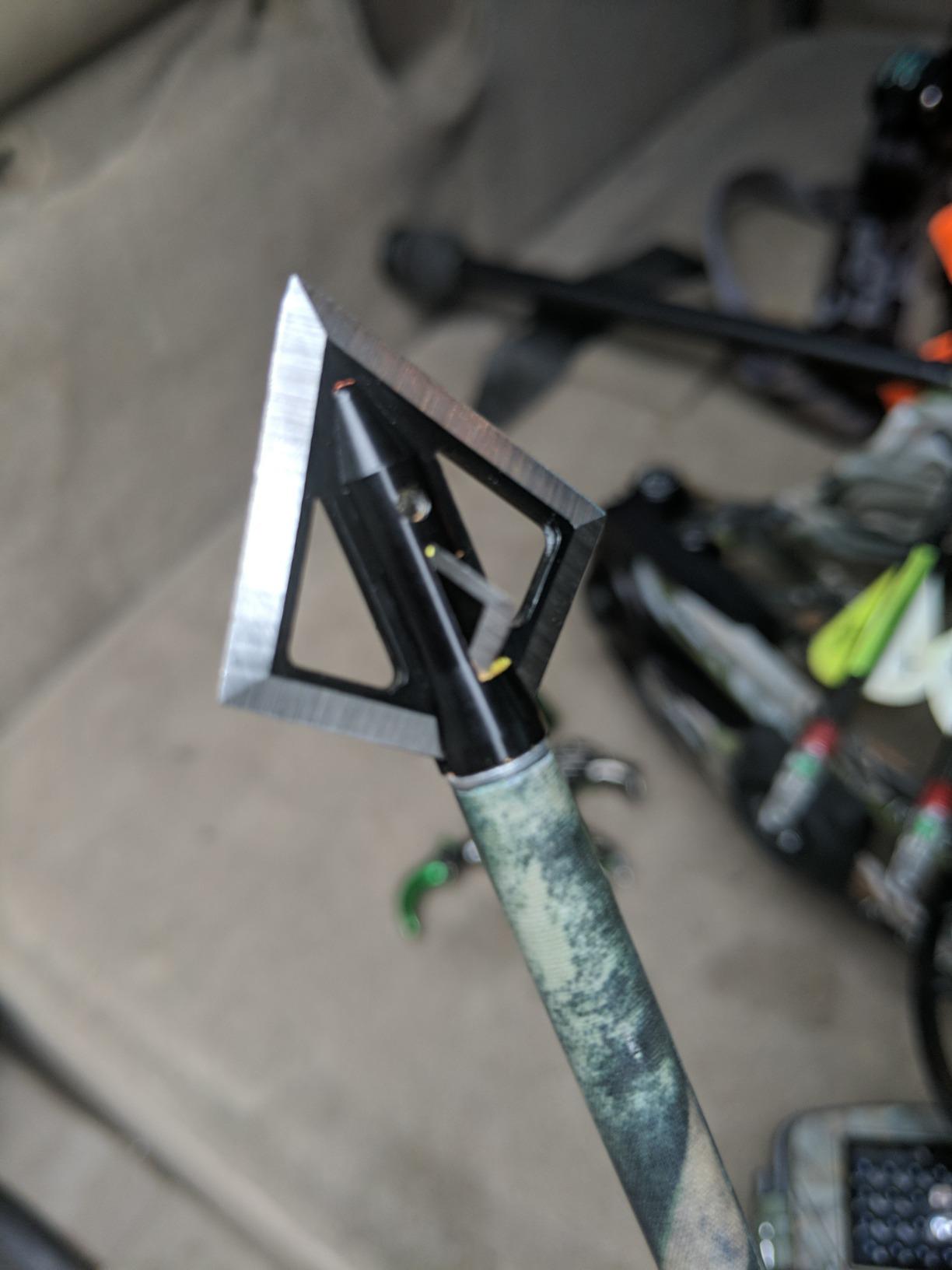 Magnus 4 Blade Hornet Broadhead (3-Pack) - Razor-Sharp Fixed Blade Hunting Broadheads, Cut-on-Contact Design, Made in USA customer photo 1