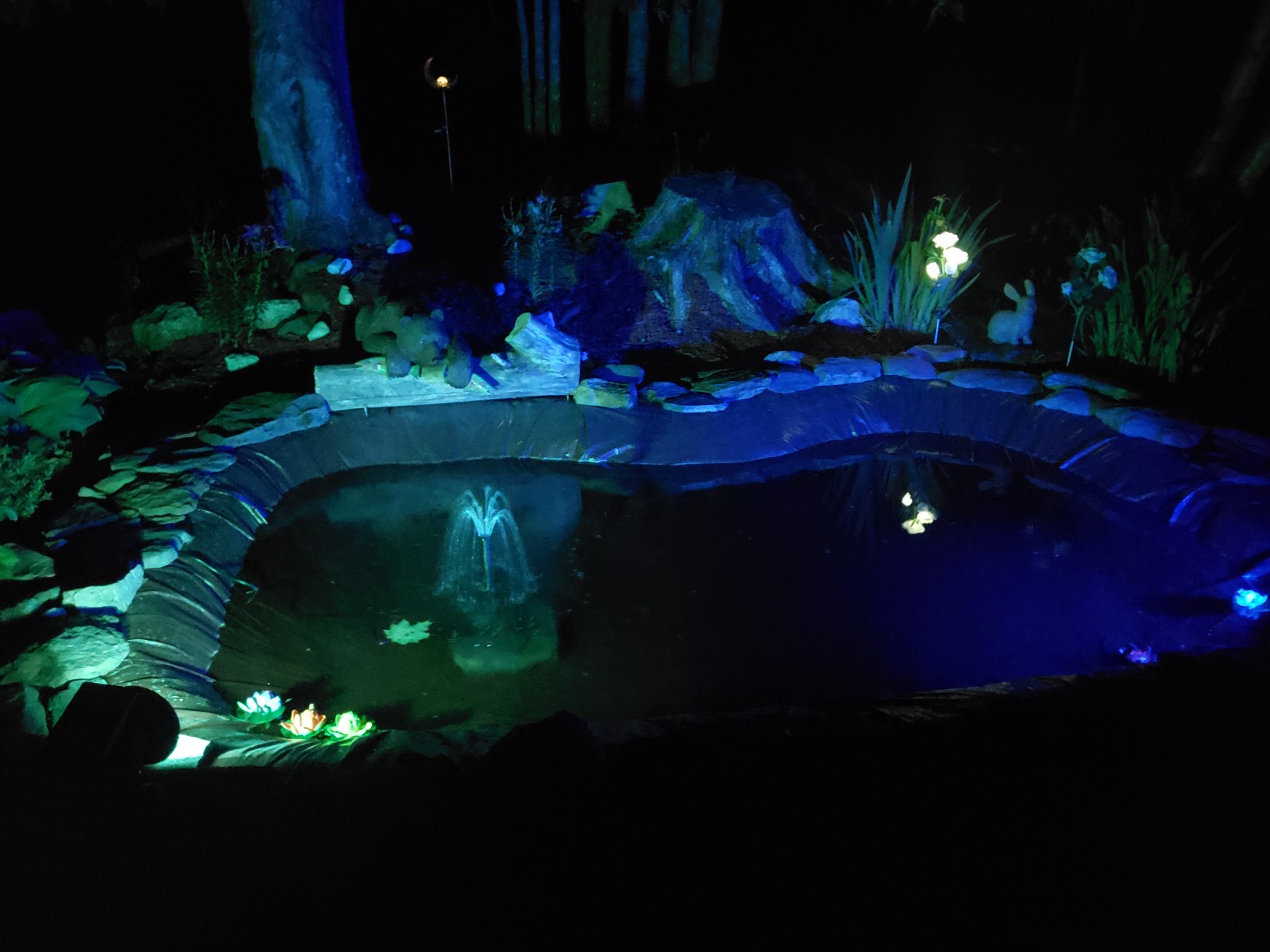Pond Kit Water Garden Fountain KOI Pond KIT Liner & Pump 9' X 6' Liner & 5 Water Lilies customer photo 2