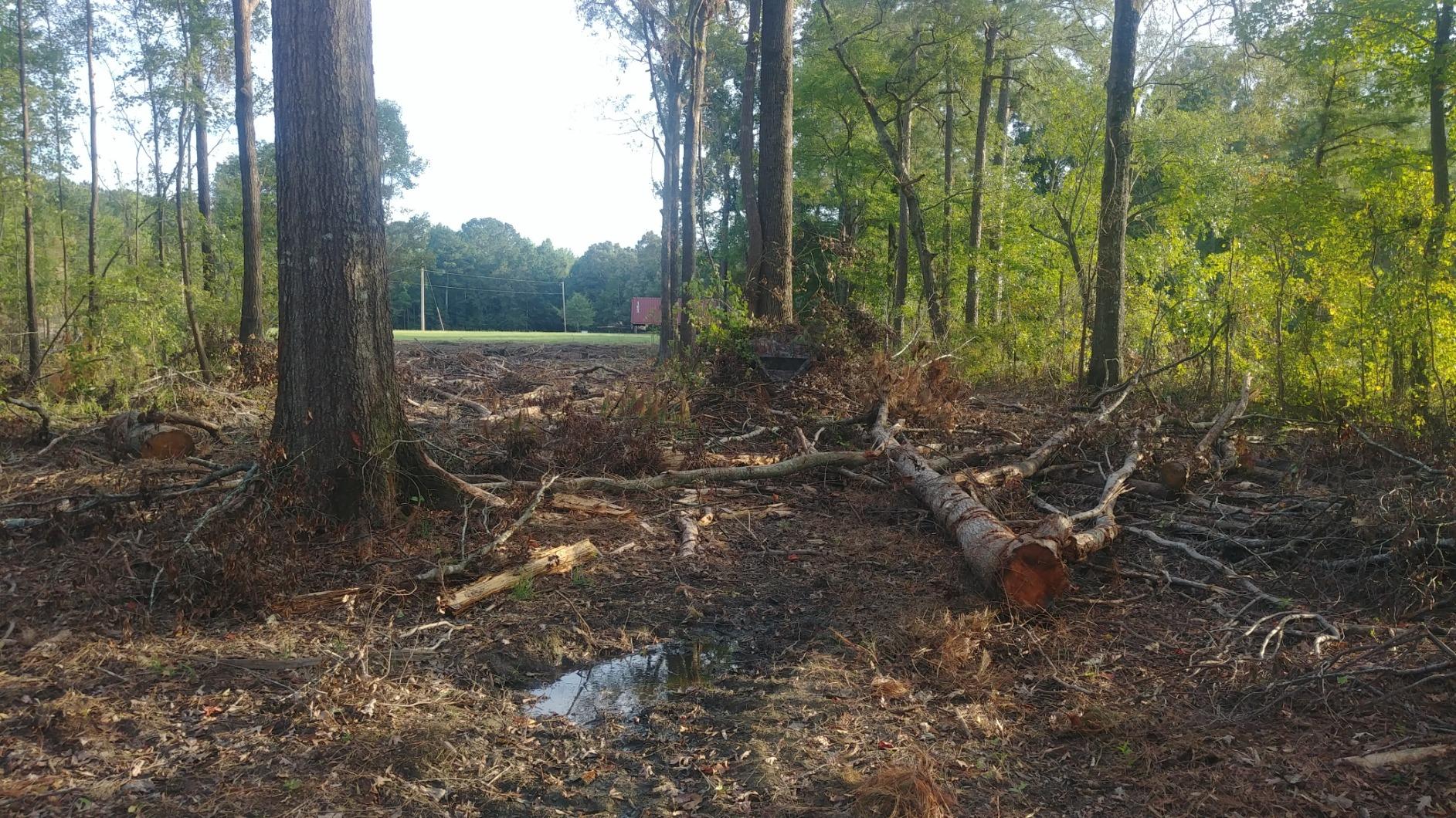 Ameristep Caretaker Hunting Blind customer photo 1