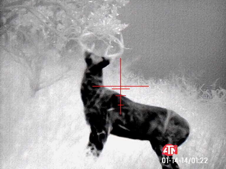 ATN Thor 4 Smart HD Thermal Hunting Scope w/New gen Sensor, Built-in Ballistics Calc, Video Record, Wi-Fi, 18hrs+ Battery customer photo 1