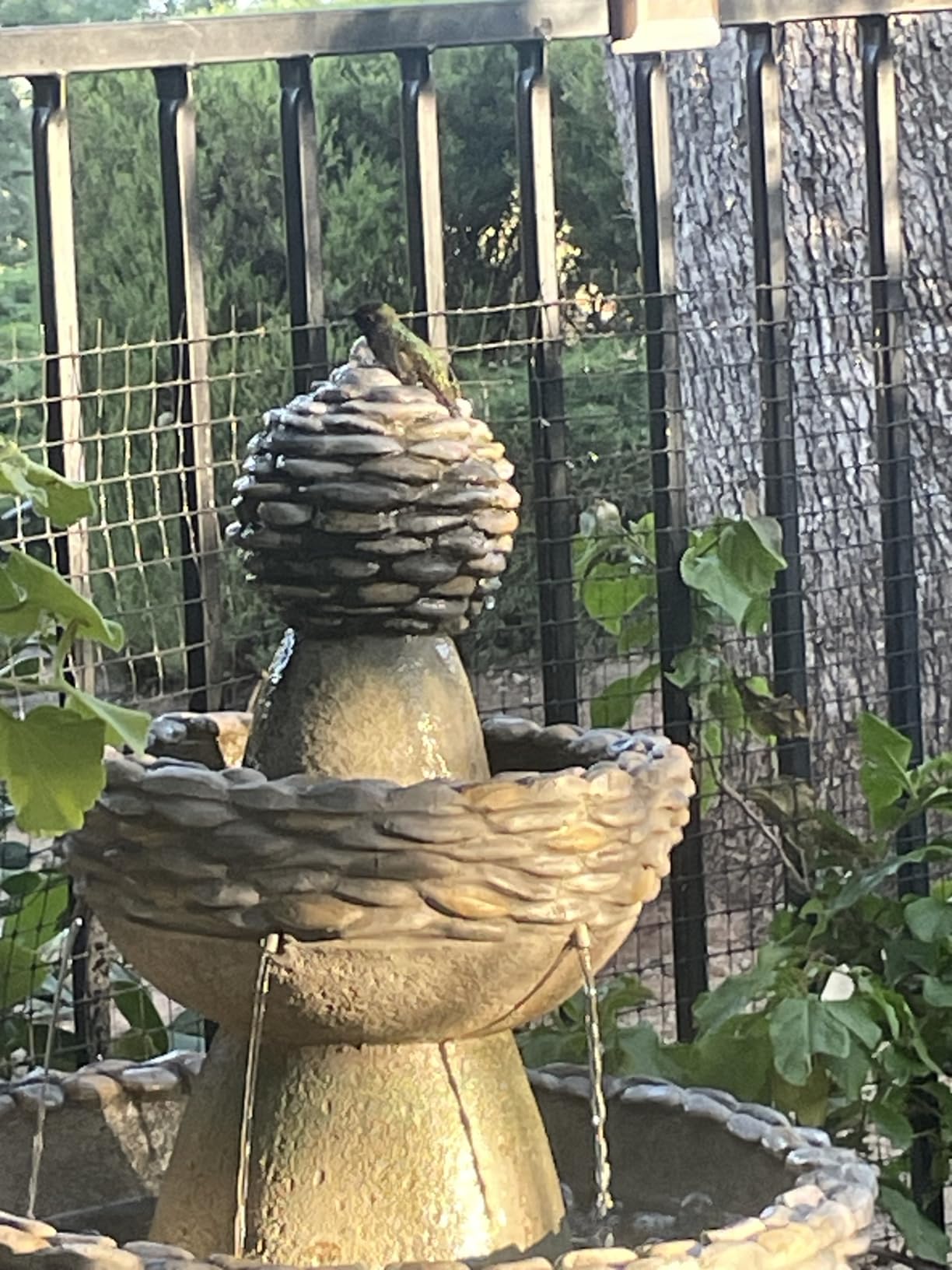 Teamson Home Lily Flower Floor Pedestal 3 Tiered Floor Waterfall Fountain with Pump for Outdoor Patio Garden Backyard Decking, 38 Inch Height, Dark Gray customer photo 2