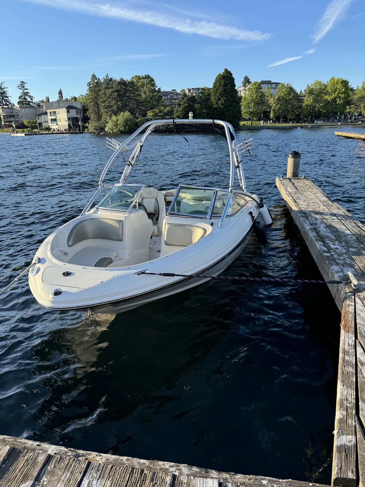 Bungee Dock Lines for Boats, Quick Connect No Knots, Shock Absorbing Mooring Lines, Boating Gifts for Men, Boat Accessories for Pontoon, Bass Boat, Jet Ski customer photo 2