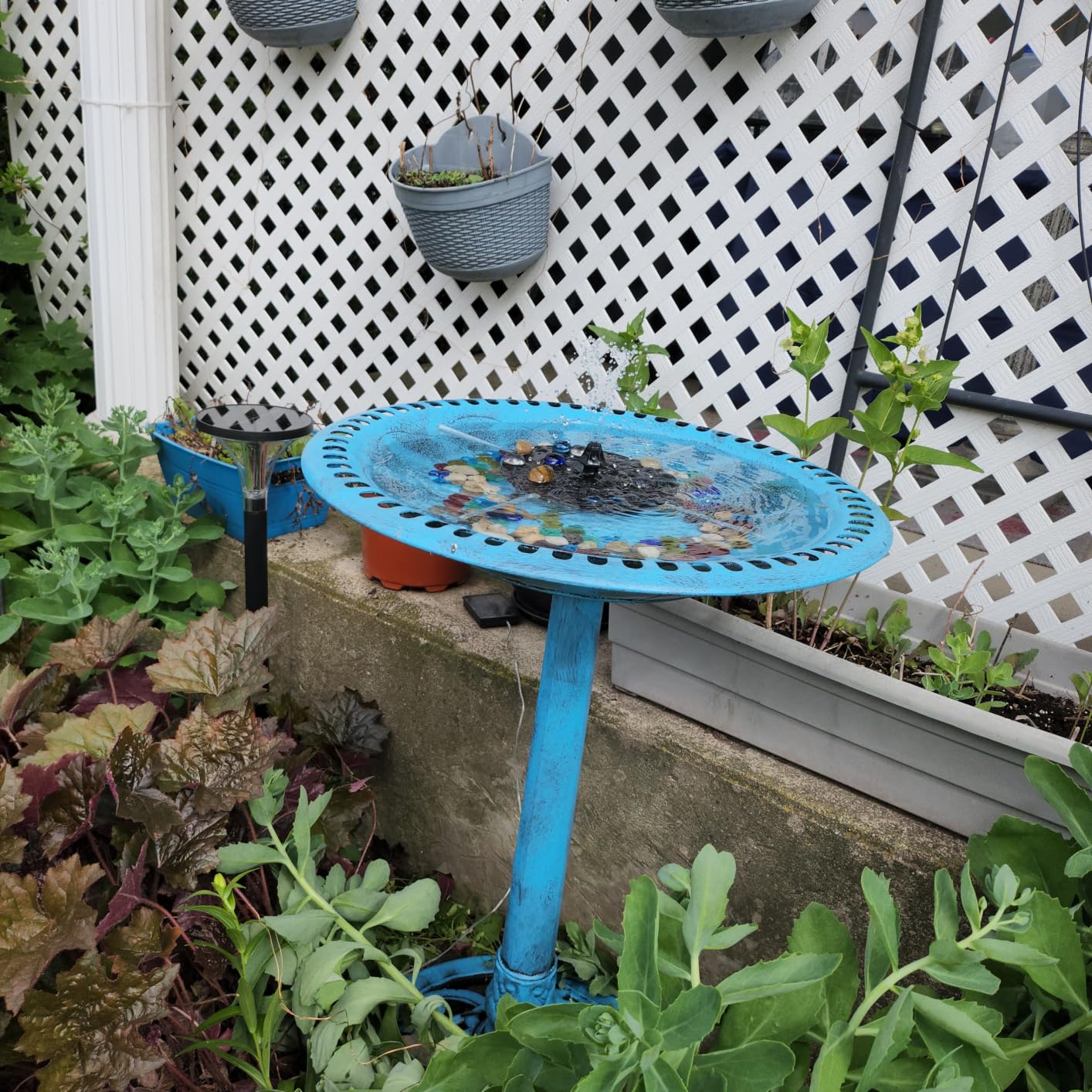 VIVOHOME Bird Bath with Solar Fountain for Outside, Pedestal, Green | Solar-Powered Pump, Weather-Resistant Polyresin, 20-Inch Bowl, for Outdoor/Garden, Bird-Friendly, Easy to Clean customer photo 1