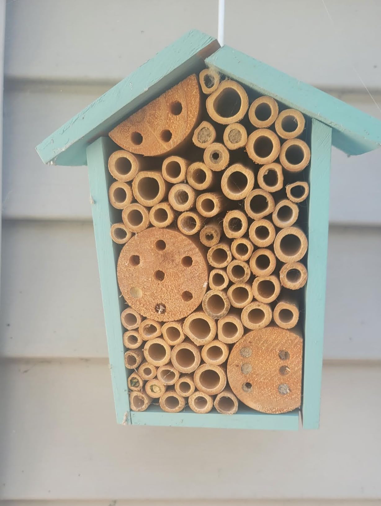Nature's Way Bird Products PWH1-C Teal Bee House customer photo 1