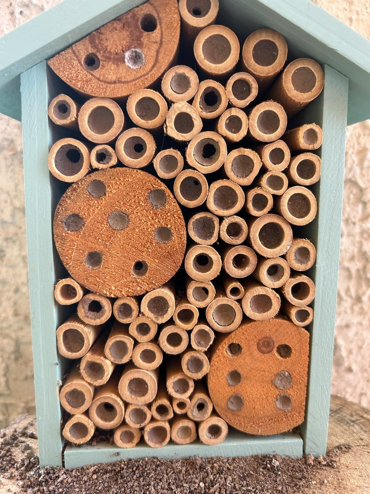 Nature's Way Bird Products PWH1-C Teal Bee House customer photo 2