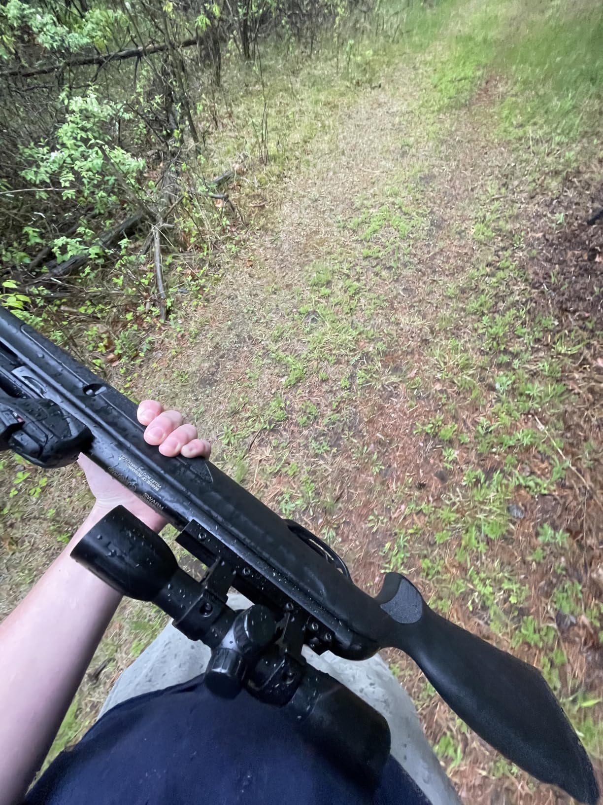 Gamo Swarm Whisper Break Barrel Pellet Air Rifle - 10-Rounds | 10-Shot System - Whisper-Quiet Shooting - Scope Included customer photo 1