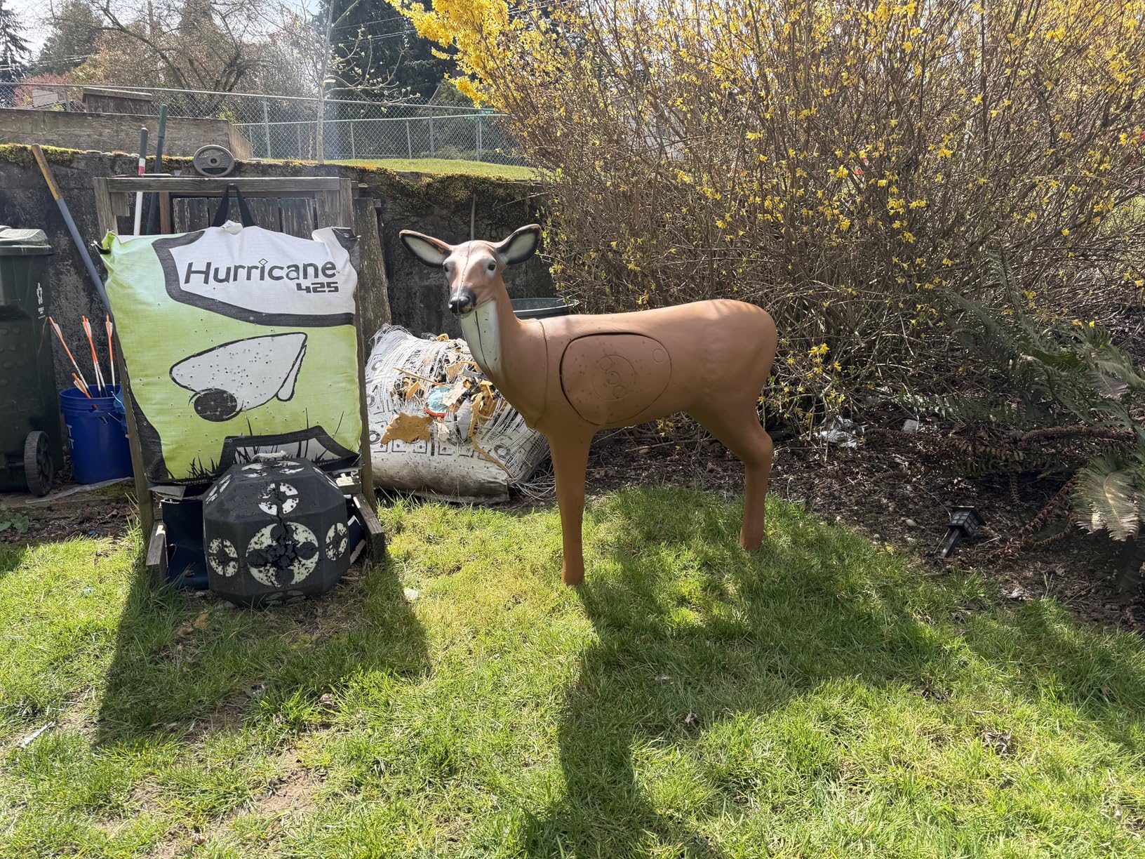 BIGshot Pro Hunter Double Duty Buck Deer Foam 3D Archery Target customer photo 1