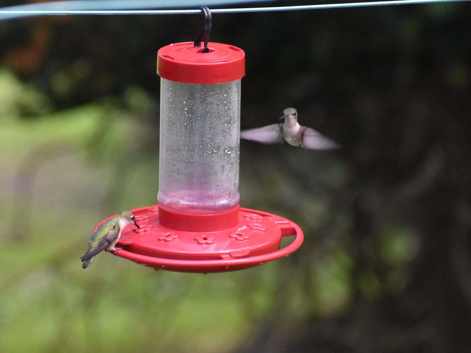 SEWANTA Hummingbird Feeder [Set of 2] Leakproof Clear Plastic 10 oz Wide Mouth | Built-in Ant Guard, 5 Feeding Ports, Easy Filling & Cleaning customer photo 2