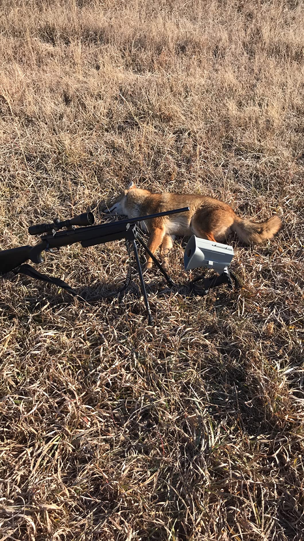 FOXPRO X24 American Made Electronic Predator Call - Remote Operated and Programmable Coyote, Fox, Crow, Hog Call customer photo 1