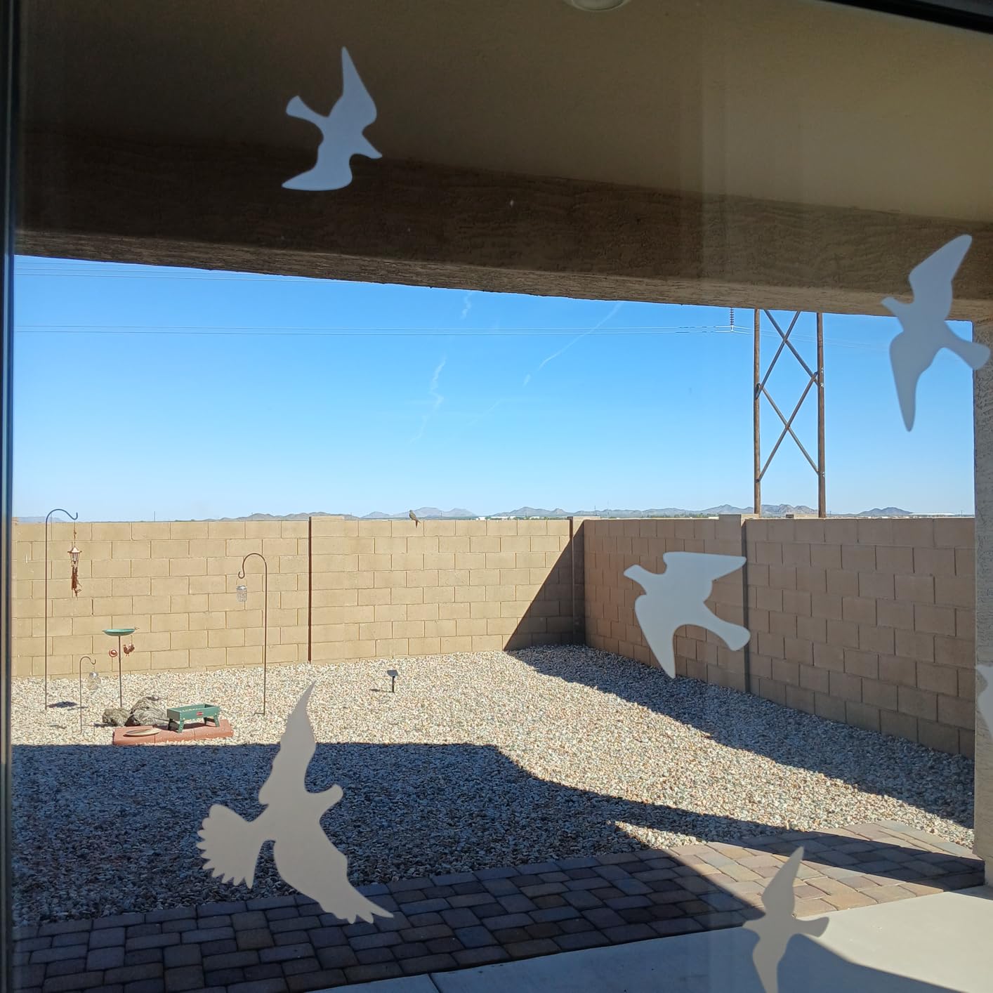 Anti-Collision Window Bird Stickers Decals Glass Door Protect and Save Bird Strikes (Clear) customer photo 1