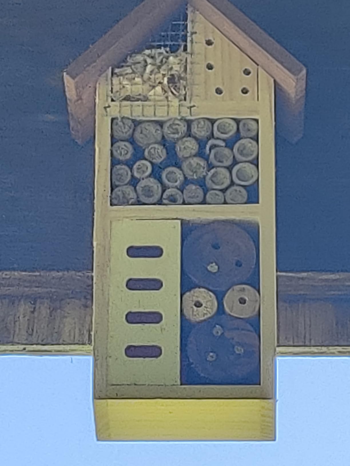 Lulu Home Wooden Insect House, Hanging Insect Hotel for Bee, Butterfly, Ladybirds, Beneficial Insect Habitat, Bug Hotel Garden customer photo 1