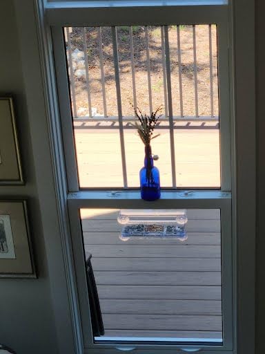 D.F. Omer Window Bird Feeder with 3 Section Tray and Roof Cover, Weatherproof Outdoor Suction Cup Hanger Acrylic Plastic Bird Feeder, Clear customer photo 2