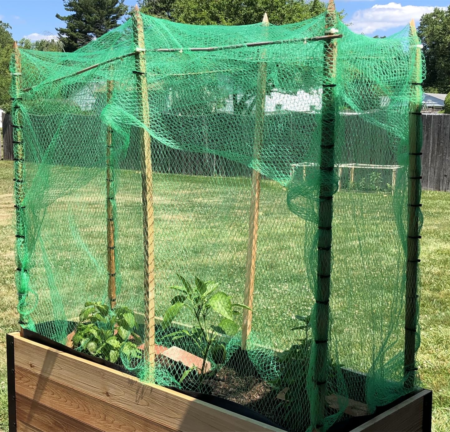 AlpineReach Garden Netting 15 x 30 ft Heavy Duty Bird Net, Deer, Plant Protection Extra Strong Woven Mesh, Reusable Kit with Zip Ties, Animal Fencing for Fruits Trees, Black customer photo 1