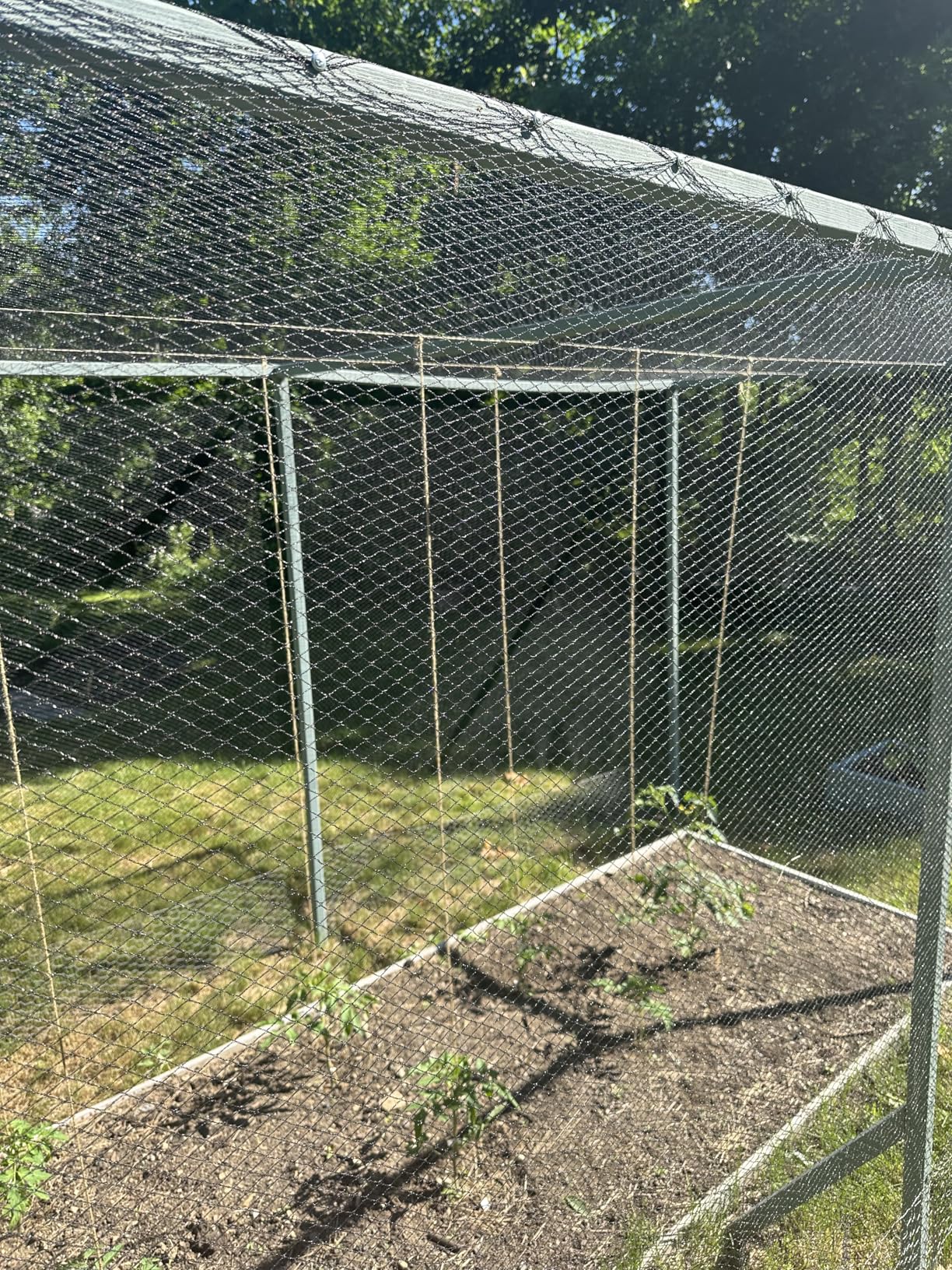 AlpineReach Garden Netting 15 x 30 ft Heavy Duty Bird Net, Deer, Plant Protection Extra Strong Woven Mesh, Reusable Kit with Zip Ties, Animal Fencing for Fruits Trees, Black customer photo 2