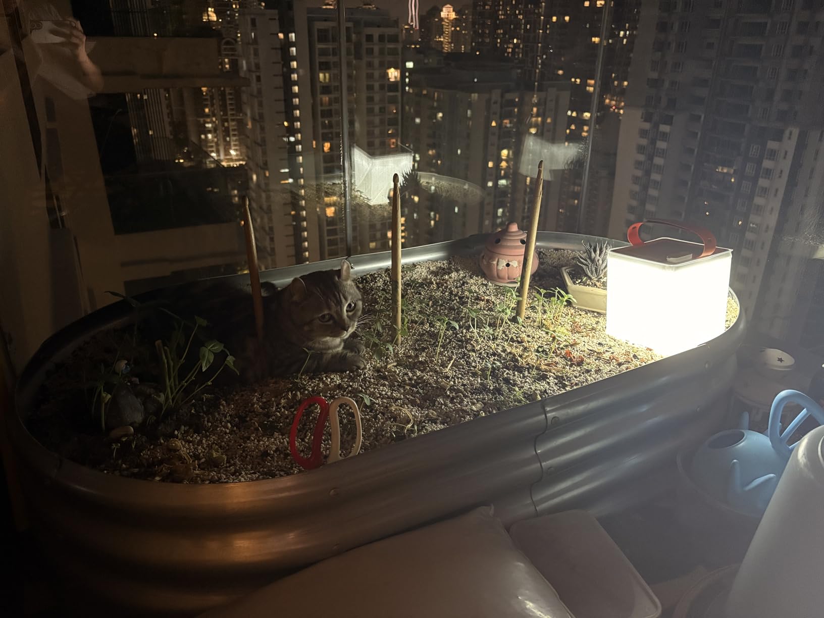 LuminAID Titan 2-in-1 Inflatable Solar LED Camping Lantern & Phone Charger | 300 Lumens, Twist-to-Inflate Design, IP67 Waterproof customer photo 2