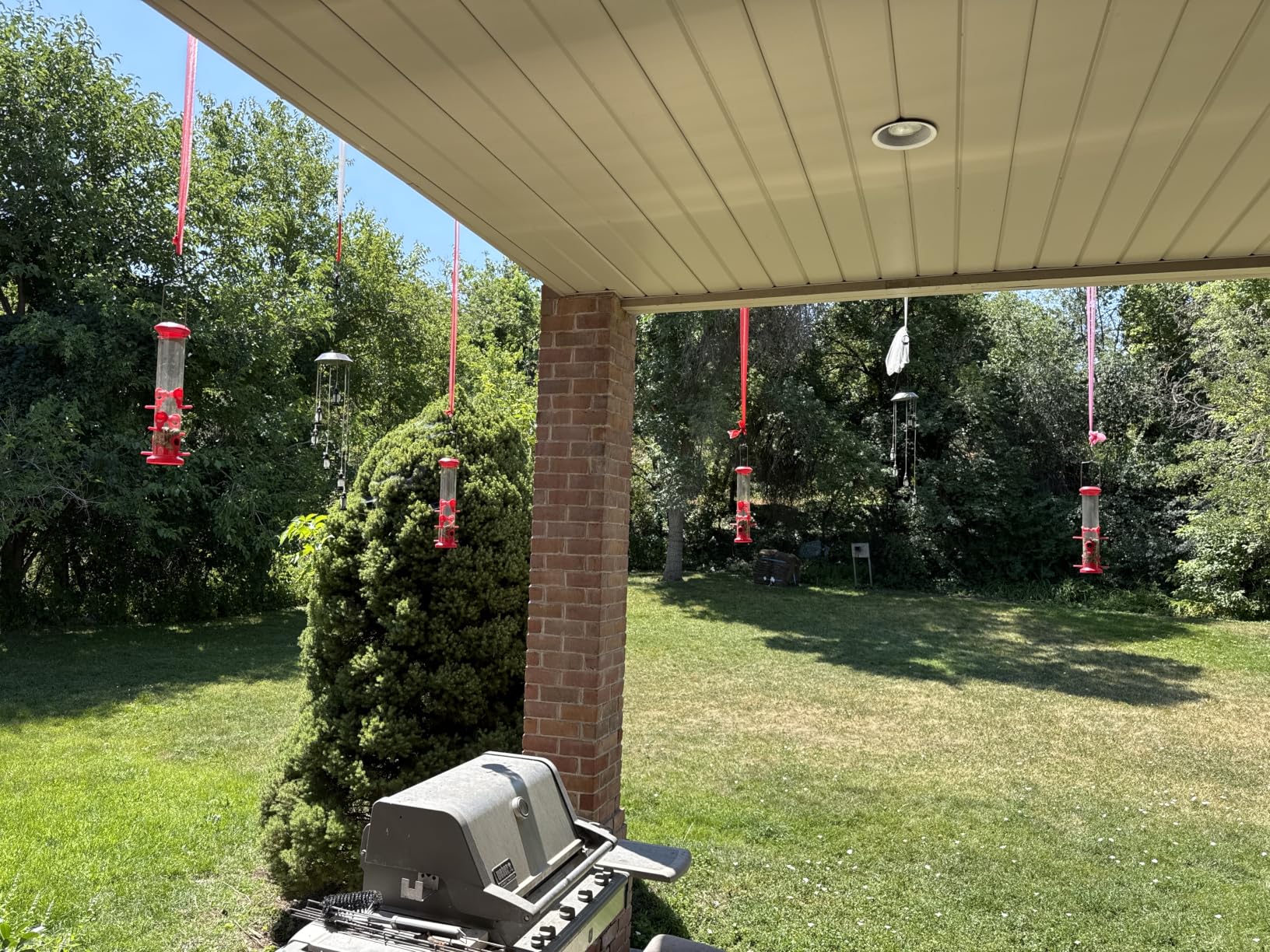 Kingsyard 2 Pack Tube Feeders with 6 Feeding Ports for Outdoors Hanging, Premium Hard Plastic Weatherproof & Steel Hanger, Attracting for Wild Birds (Black) customer photo 1