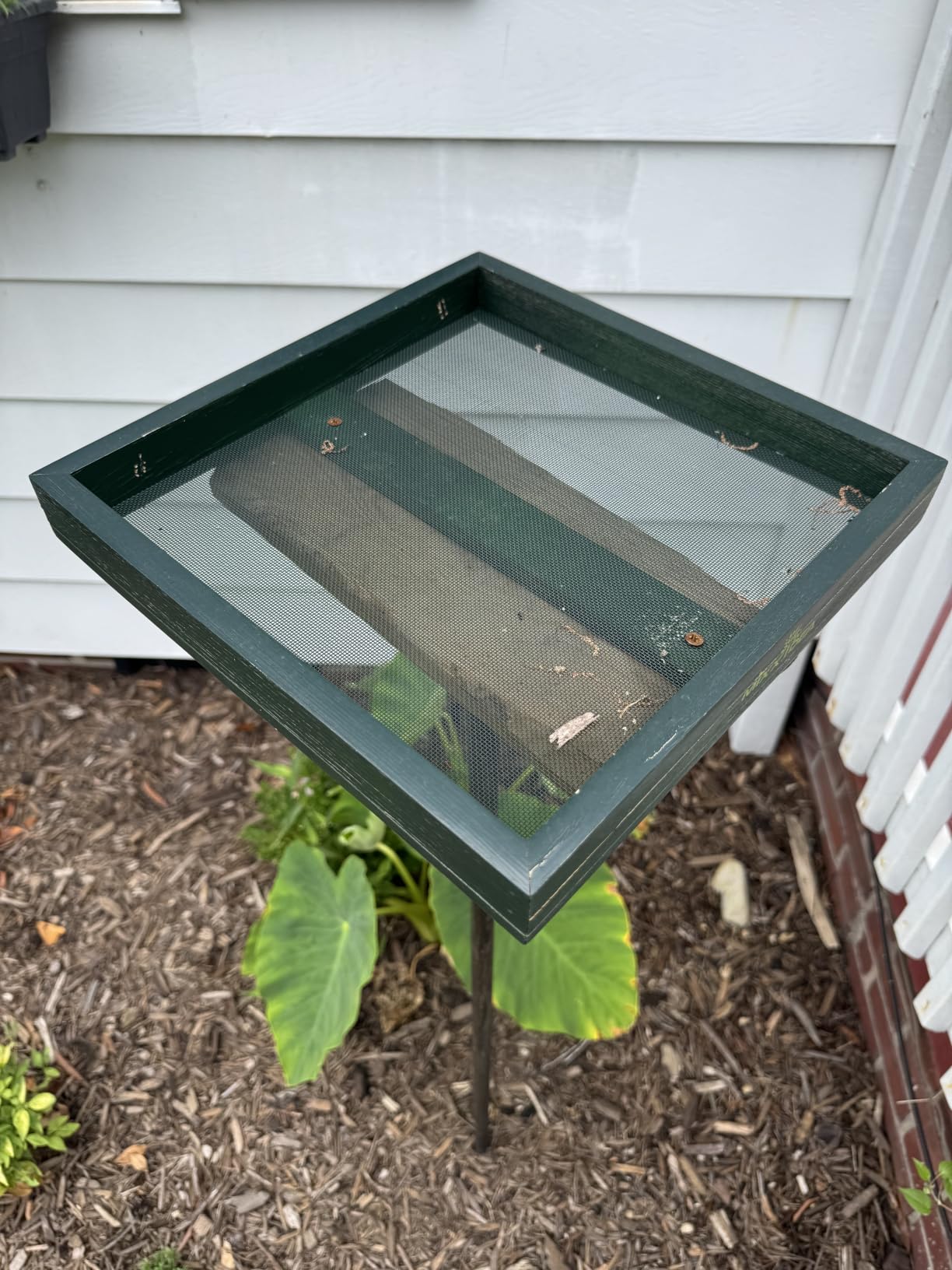 Bird Feeder Hanging Tray, Bird Feeders for Outdoors, Wooden Seed Tray Platform Mesh Seed Platform for Garden Yard Outside Decoration Attracting for Wild Birds (Green-1pk) customer photo 1