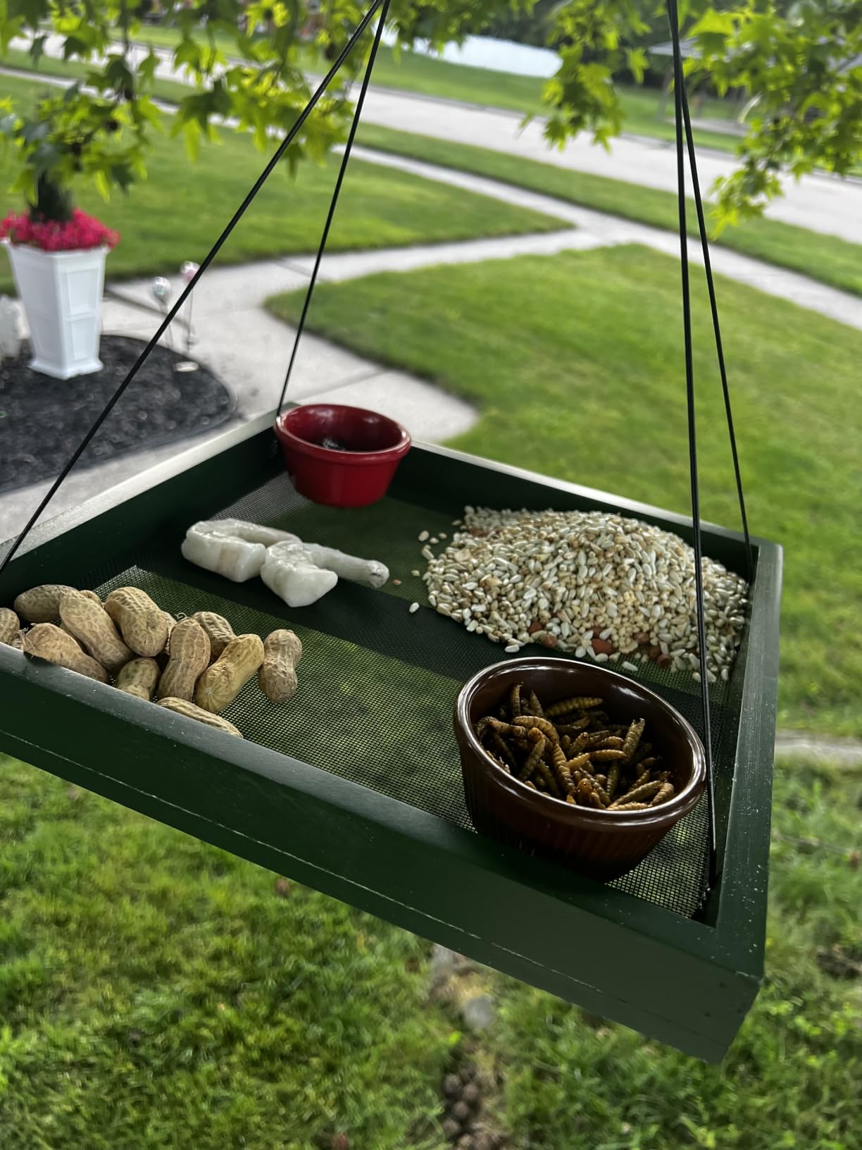 Bird Feeder Hanging Tray, Bird Feeders for Outdoors, Wooden Seed Tray Platform Mesh Seed Platform for Garden Yard Outside Decoration Attracting for Wild Birds (Green-1pk) customer photo 2
