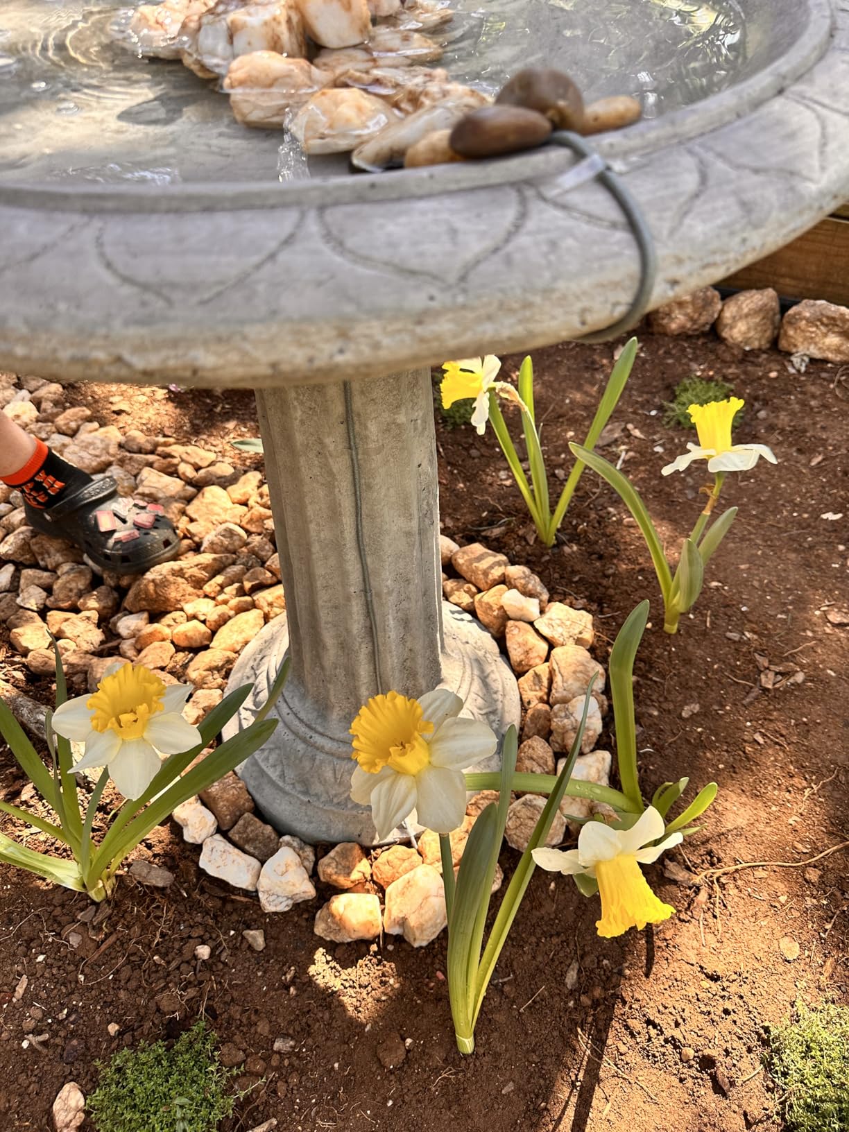 SZMP Bird Bath Fountains, Upgraded 24-Hours Working Bird Bath Fountain Pump with Light & 7 Nozzle, 16.4Ft Power Cord & Adapter, Adjustable Water Pump for Garden, Pond, Fish Tank, Outdoor (White) customer photo 2