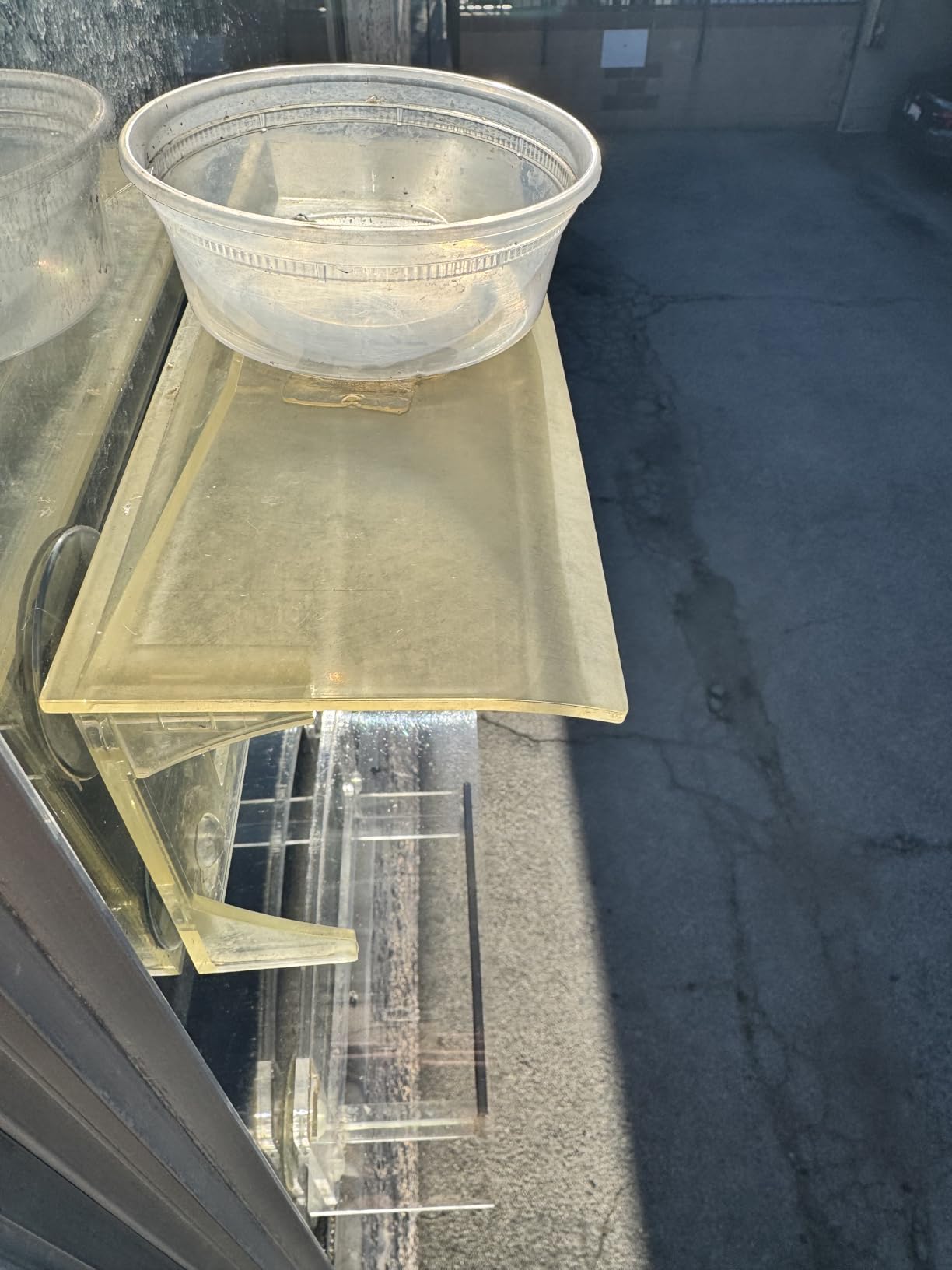 Window Bird Feeder with Strong Suction Cups - Upgraded 2026 Model, Clear Acrylic Feeder Window for Cats, Bird House Gift customer photo 2