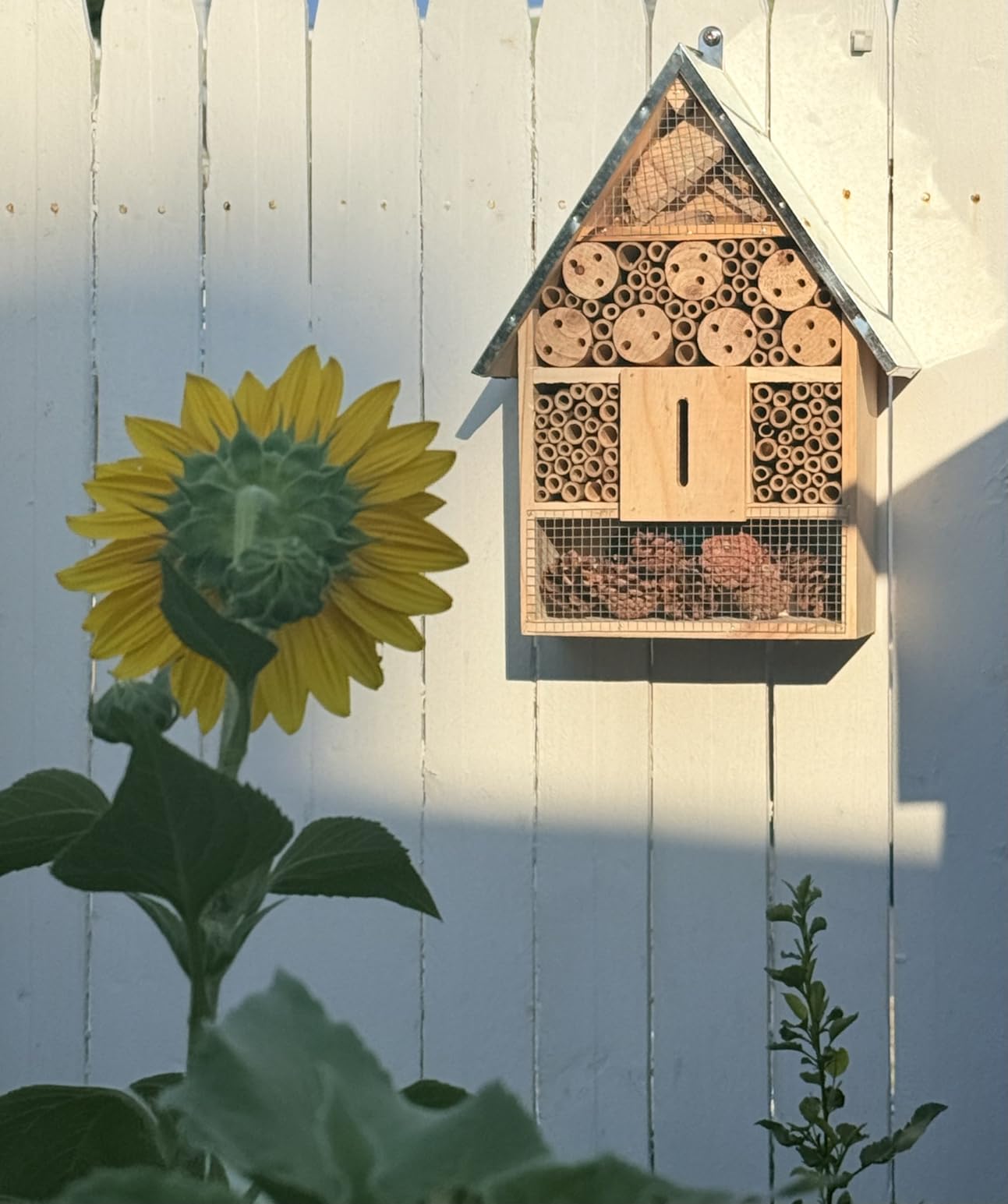 Wooden Mason Insect Bee Butterfly House, Insect Hotel, an Outdoor Hanging Bamboo Habitat for Bee Butterfly Ladybugs Live, Bee Box, Butterfly Habitat for Garden customer photo 1
